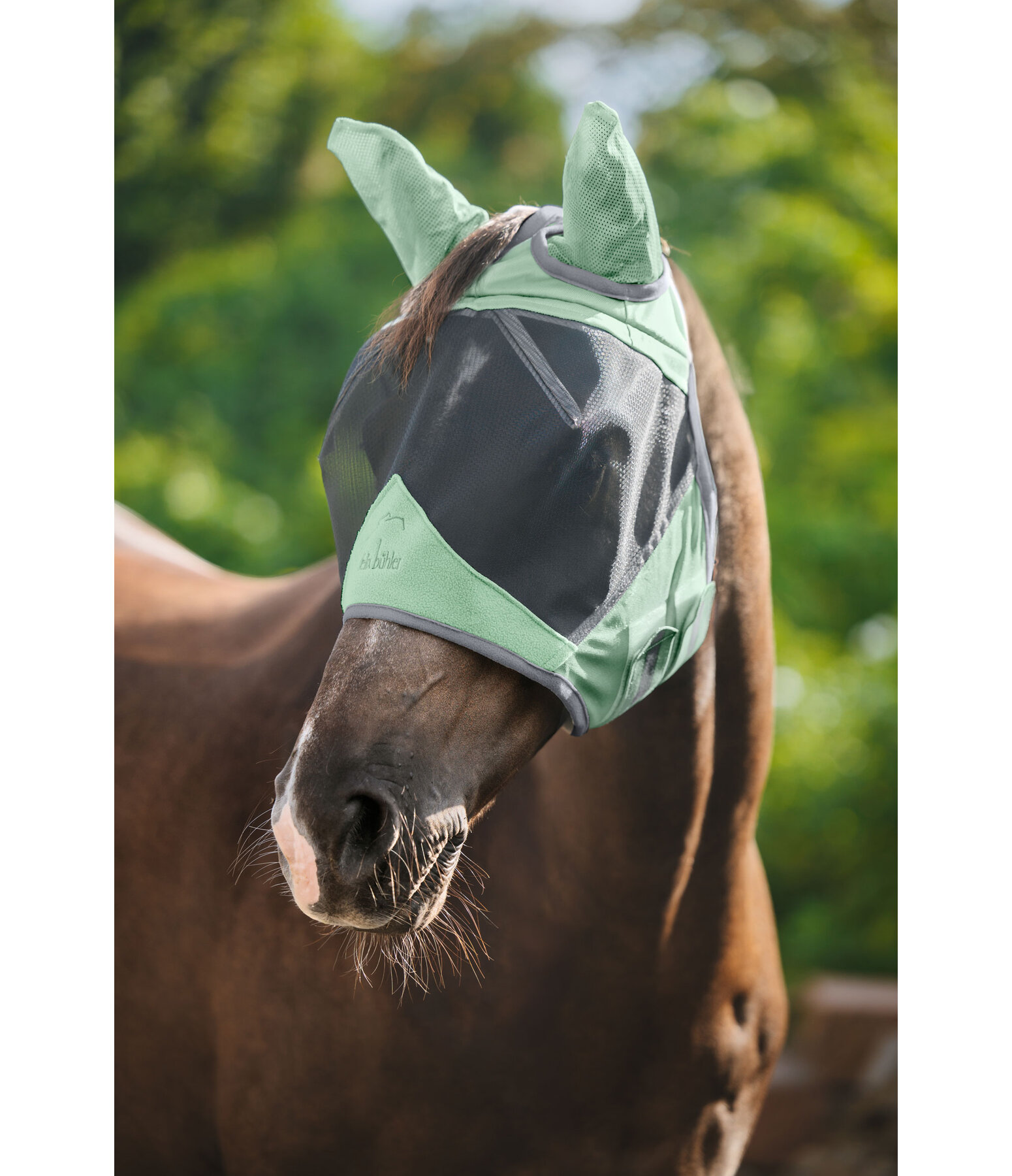 Fly Mask Basic Pro
