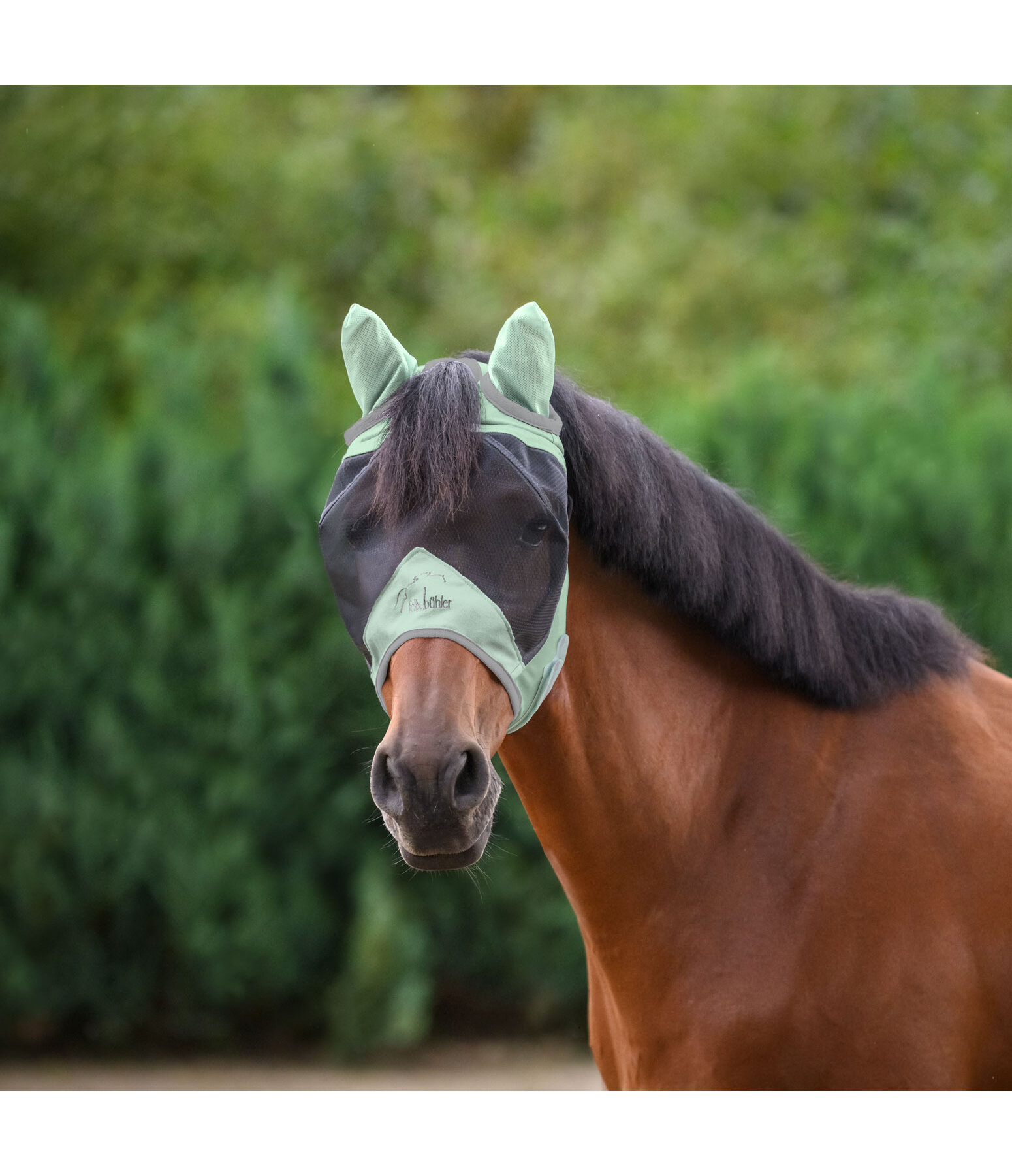 Fly Mask Basic Pro