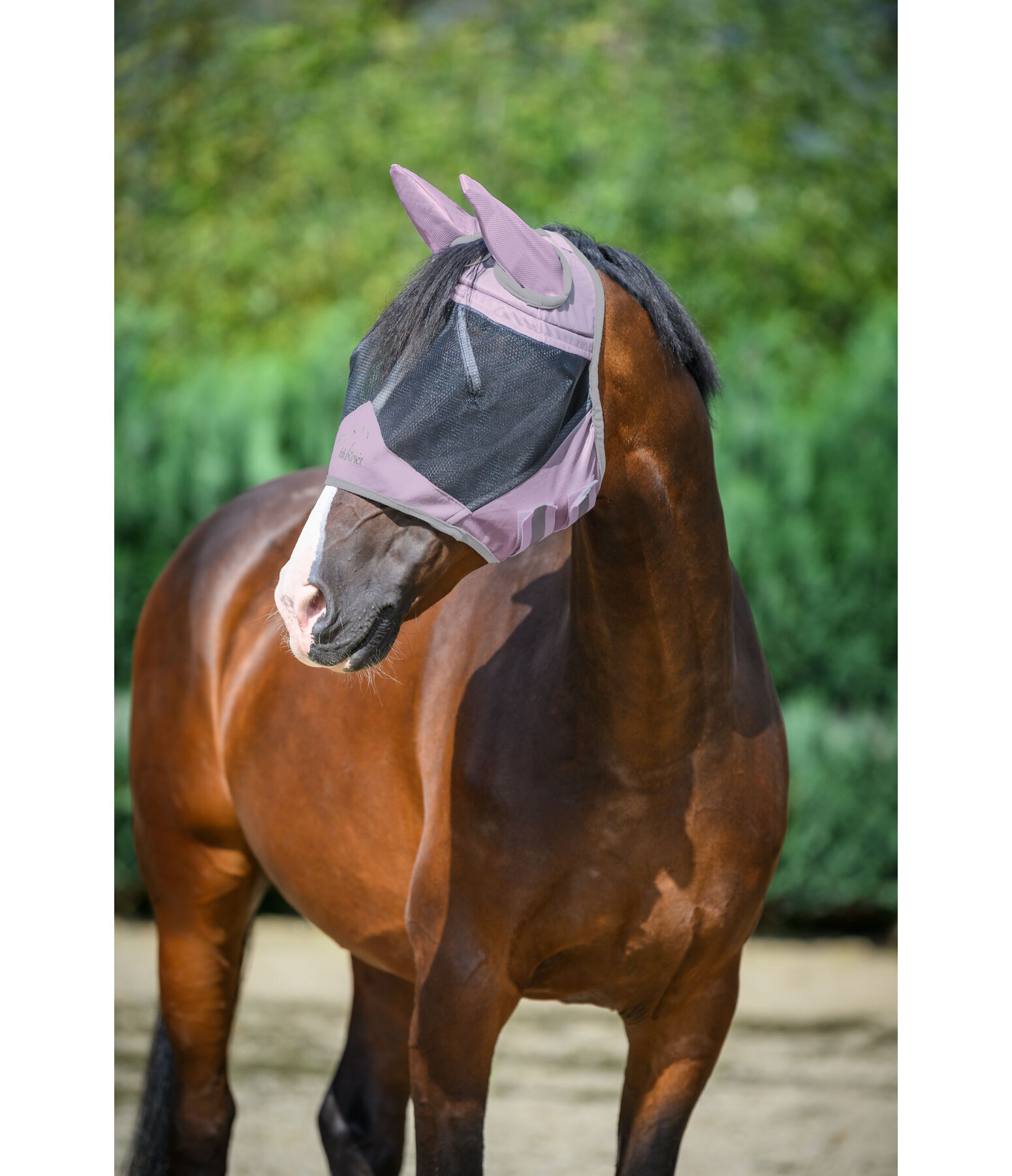 Fly Mask Basic Pro