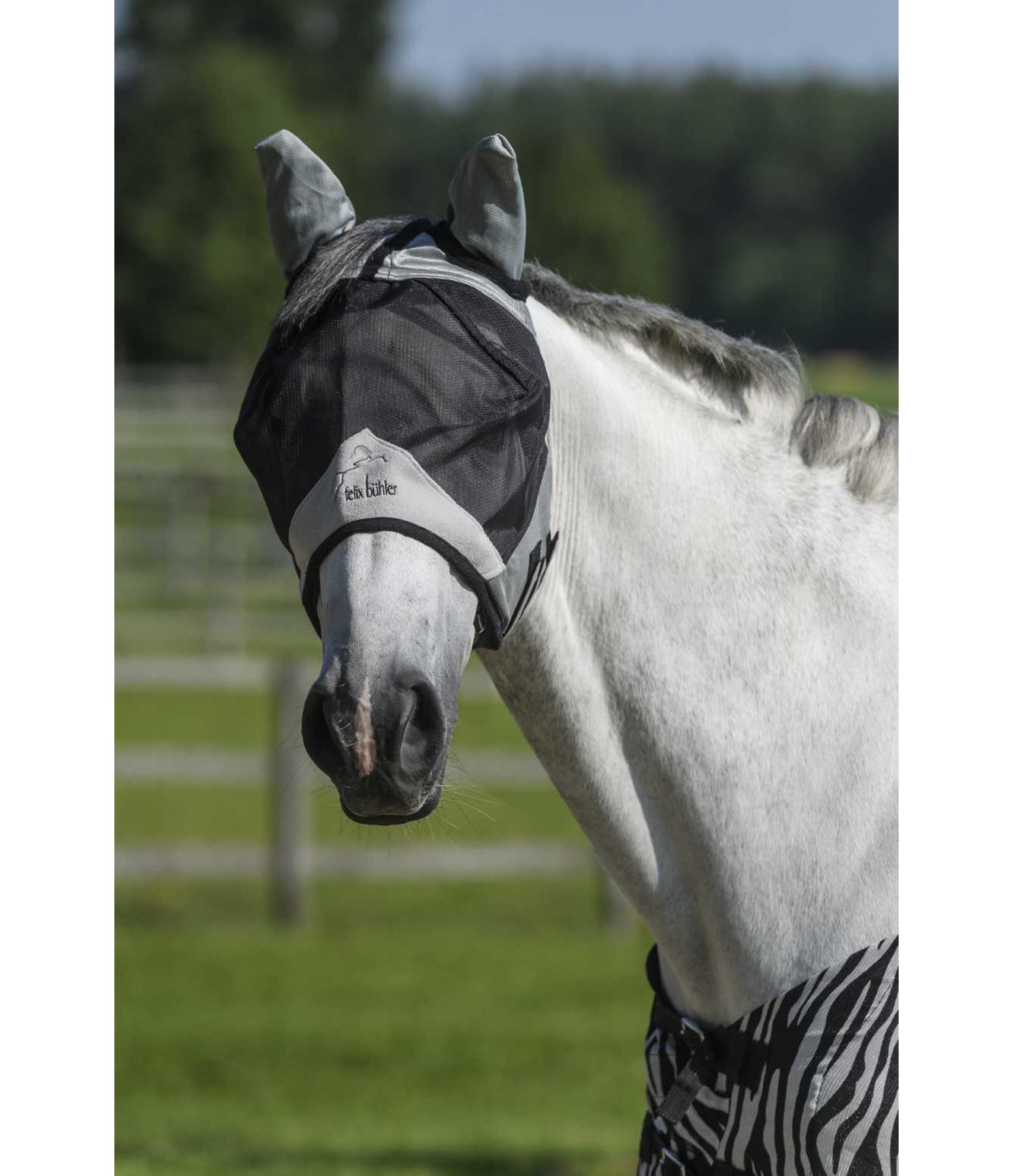 Fly Mask Basic Pro