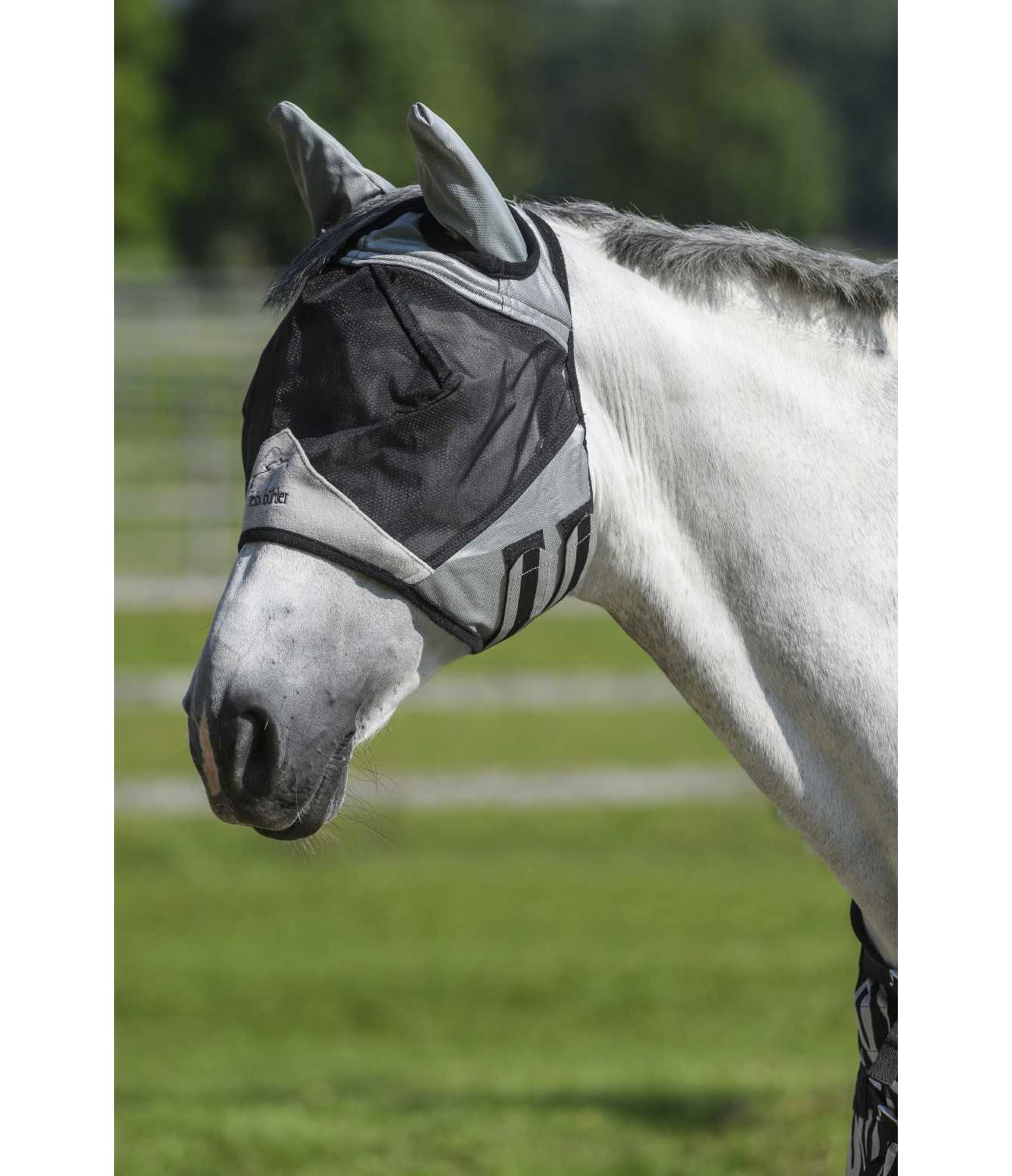 Fly Mask Basic Pro