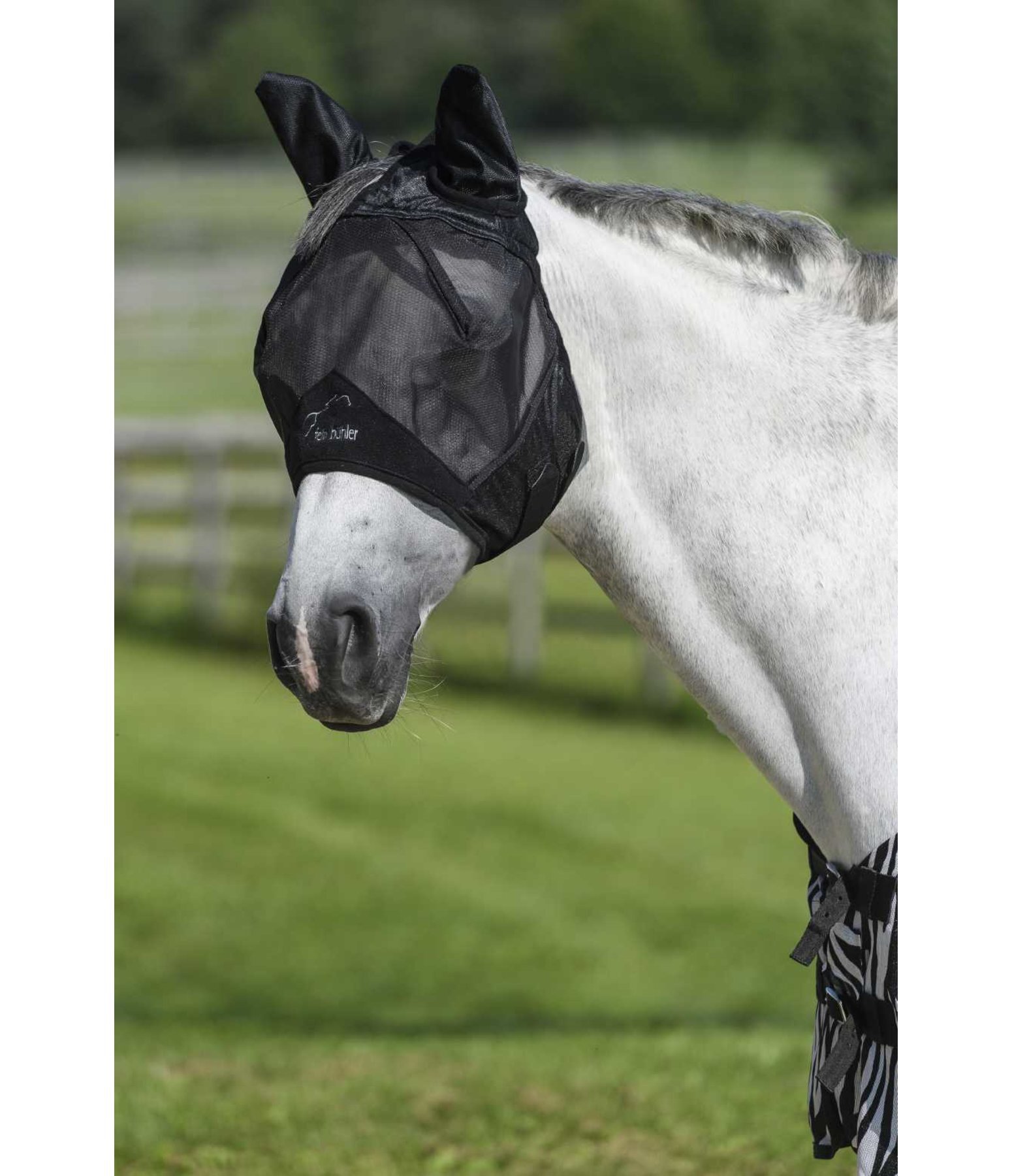 Fly Mask Basic Pro