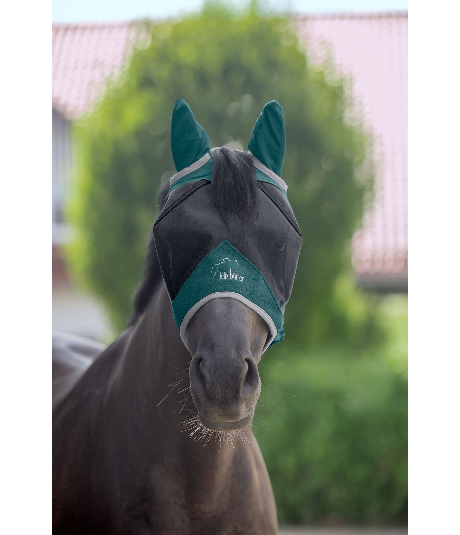 Fly Mask Basic Pro