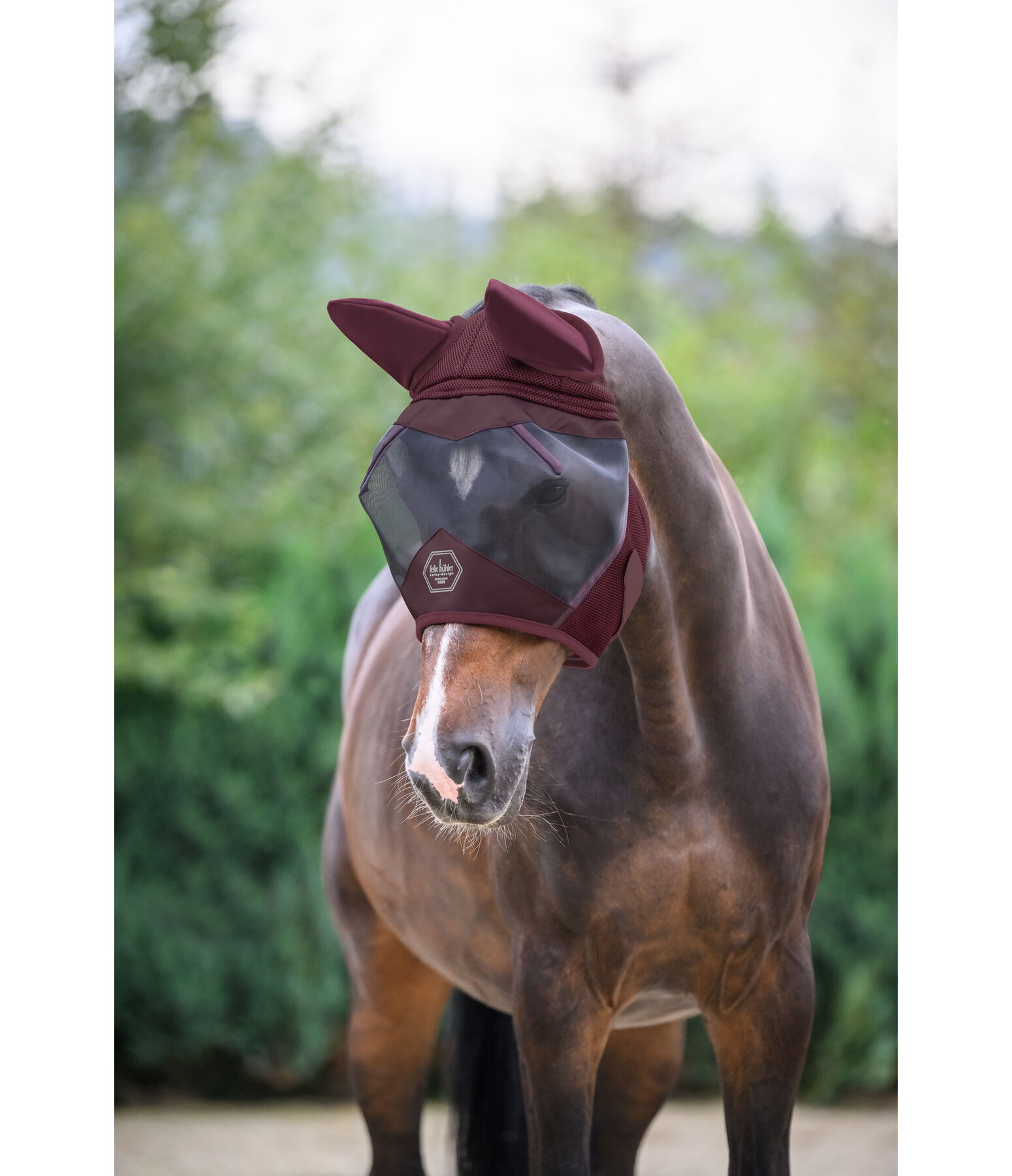 Fly Mask Dublin MVT