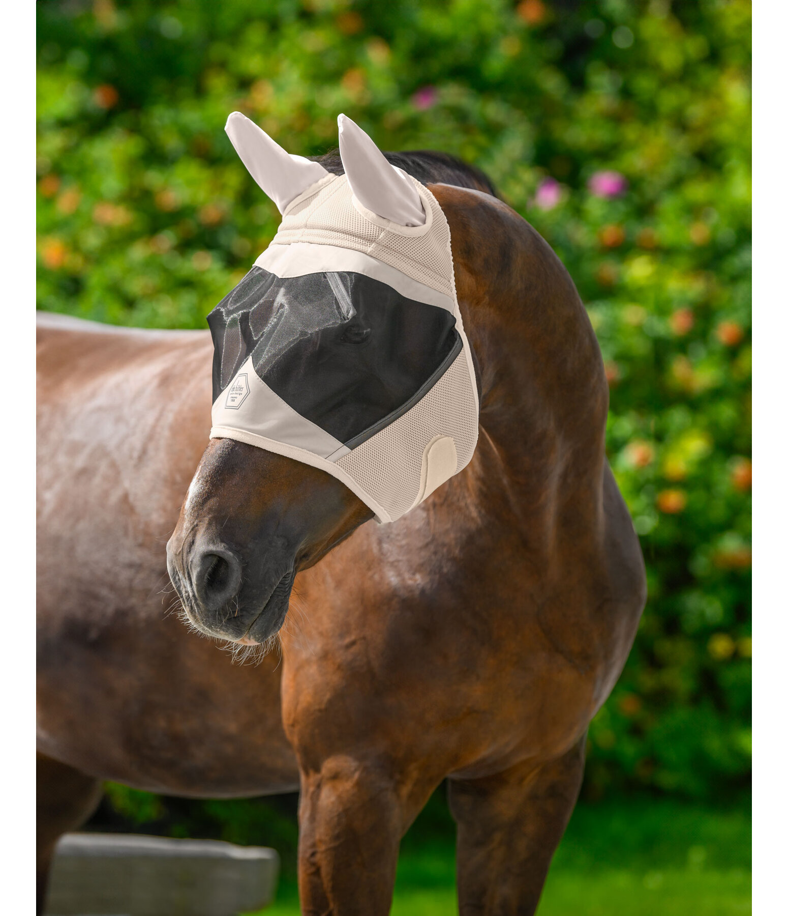 Fly Mask Dublin MVT