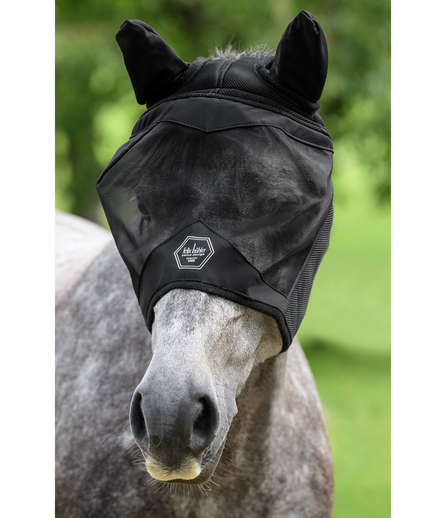 Fly Mask Dublin MVT