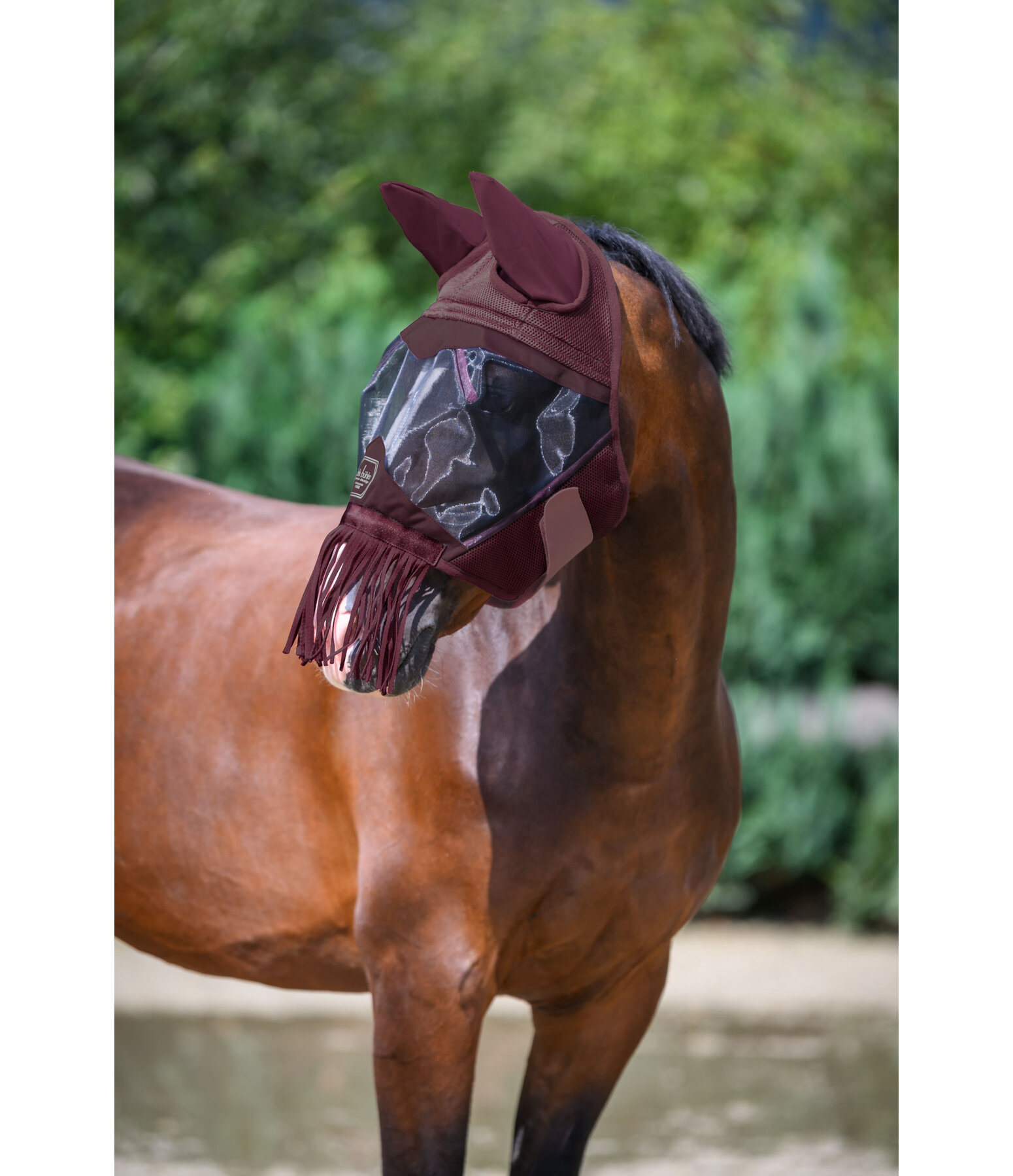 Fly Mask Limerick MVT with Fringes