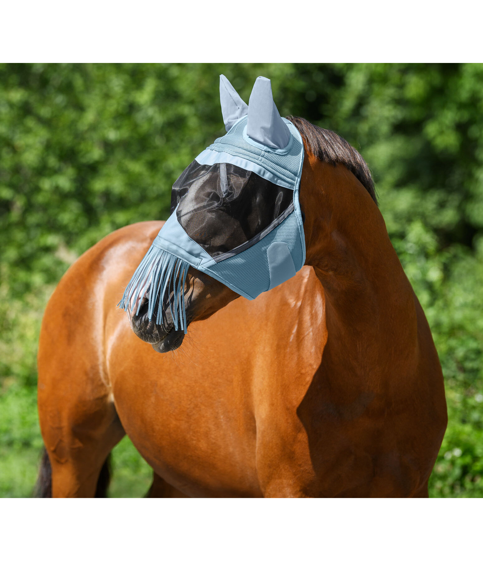 Fly Mask Limerick MVT with Fringe