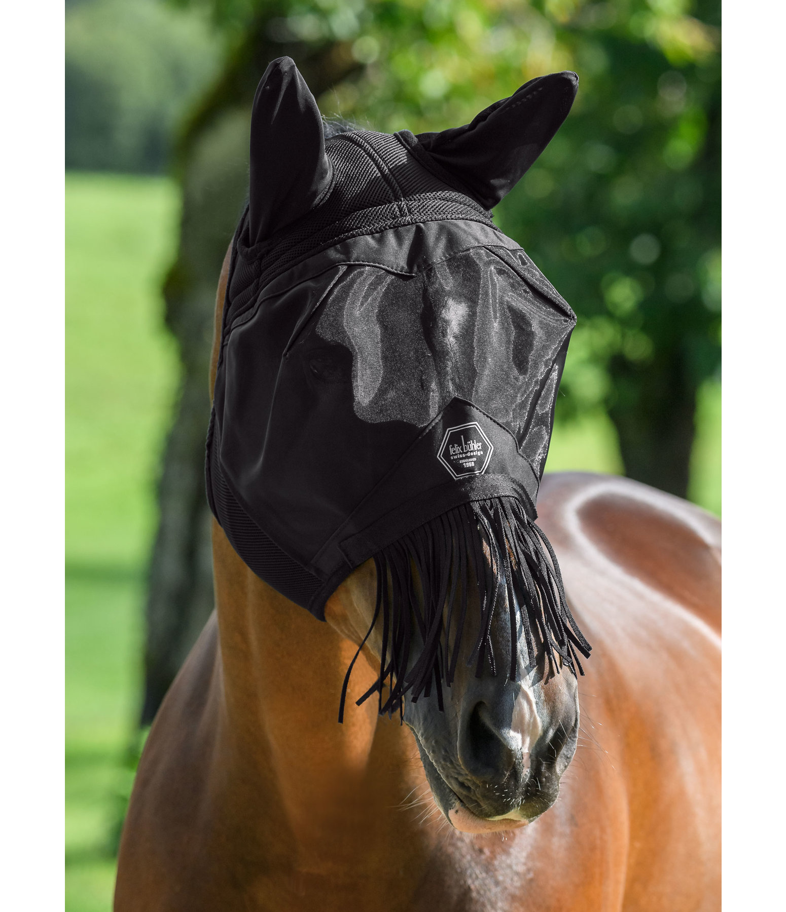Fly Mask Limerick MVT with Fringes