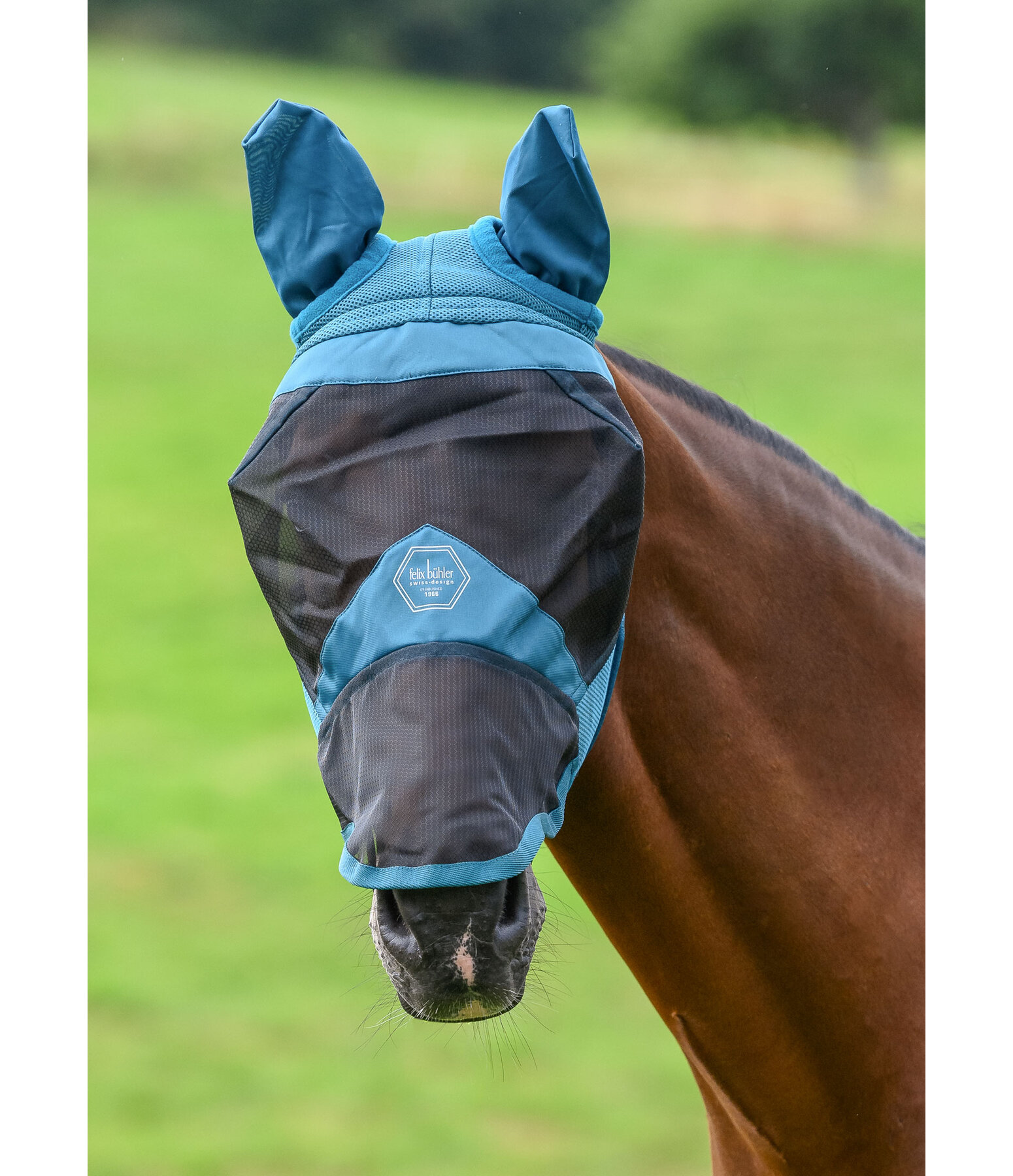 Fly Mask Galway MVT with Nostril & UV Protection 60+