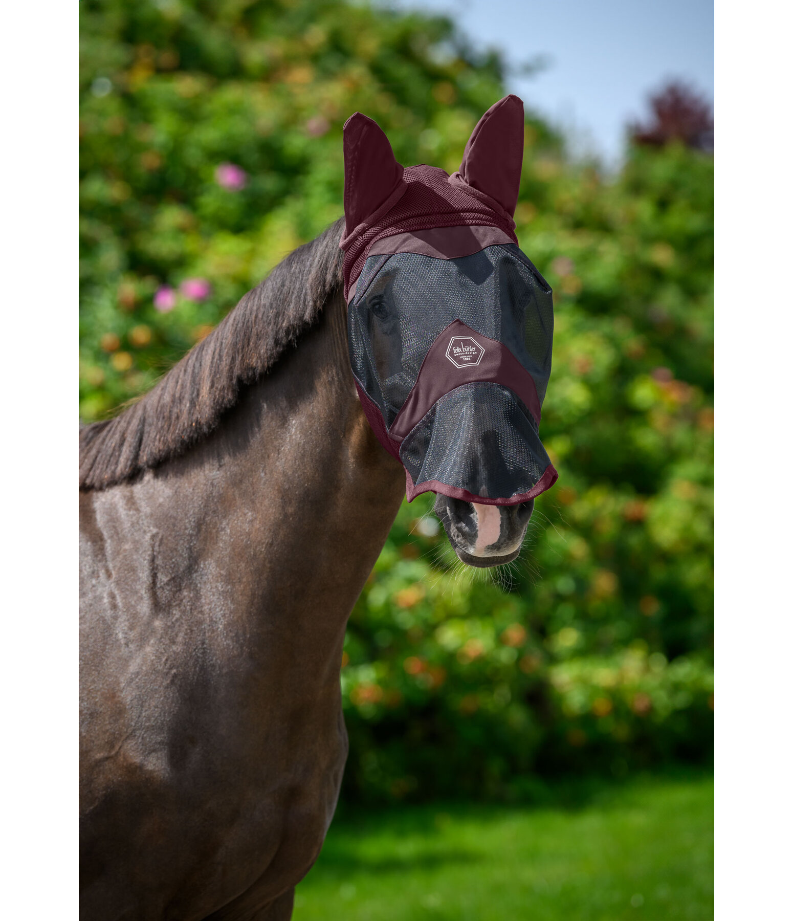 Fly Mask Galway MVT with Nostril