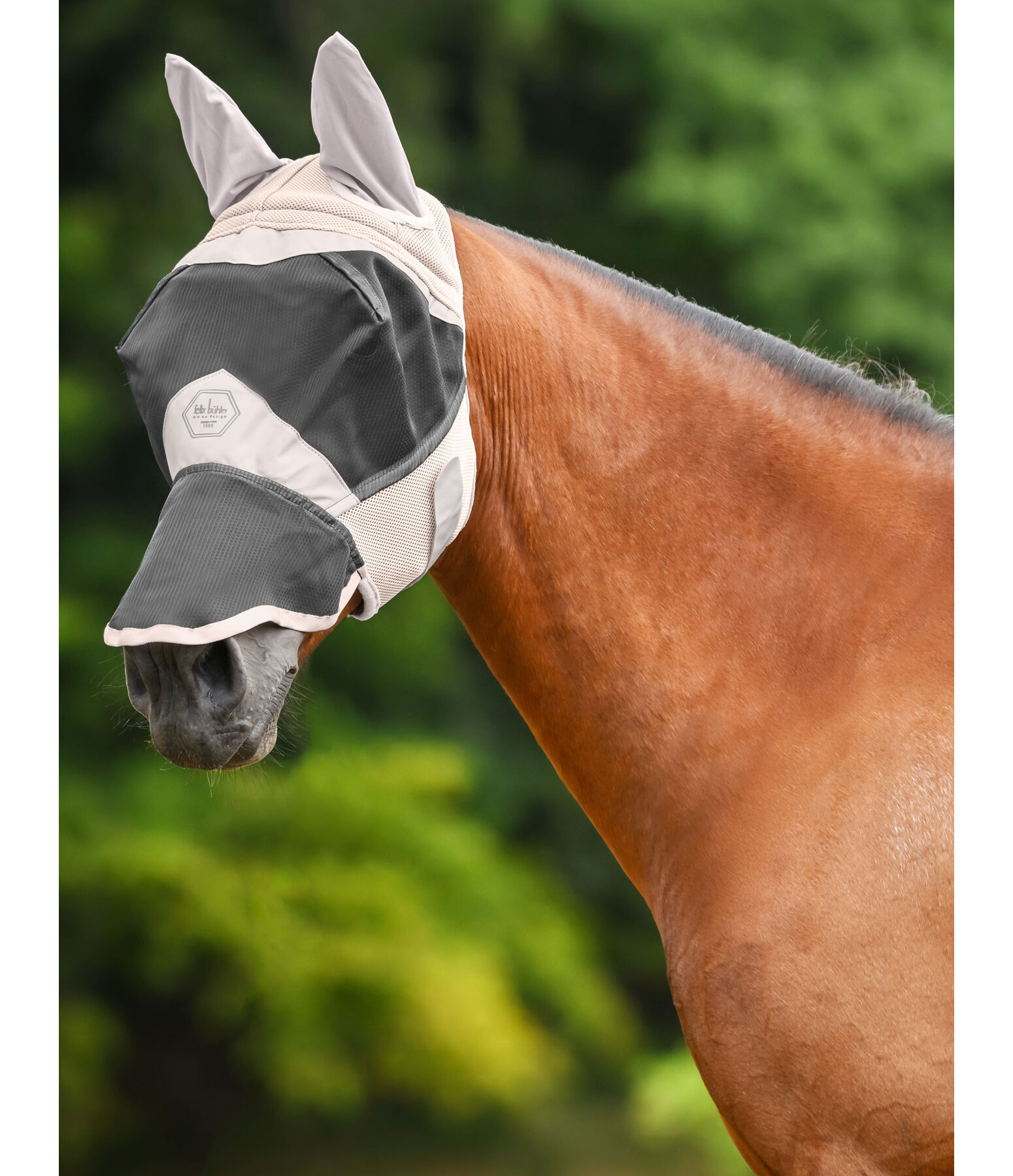 Fly Mask Galway MVT with Nostril