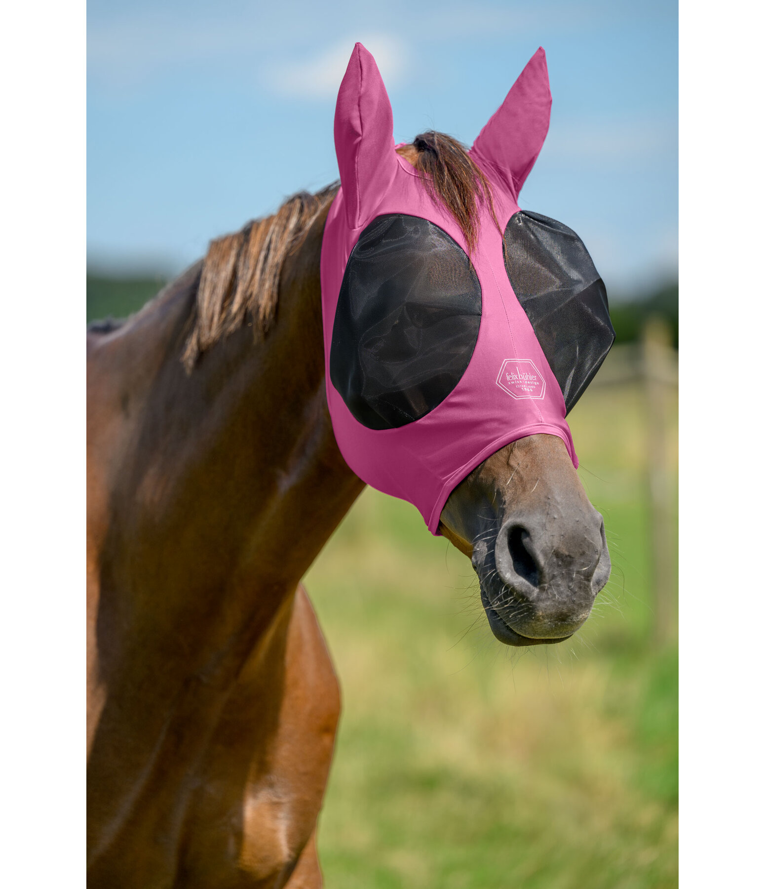 Pull-On Stretch Fly Mask