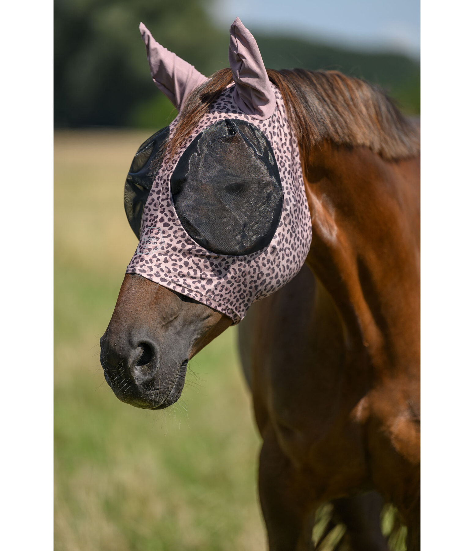 Pull-On Stretch Fly Mask