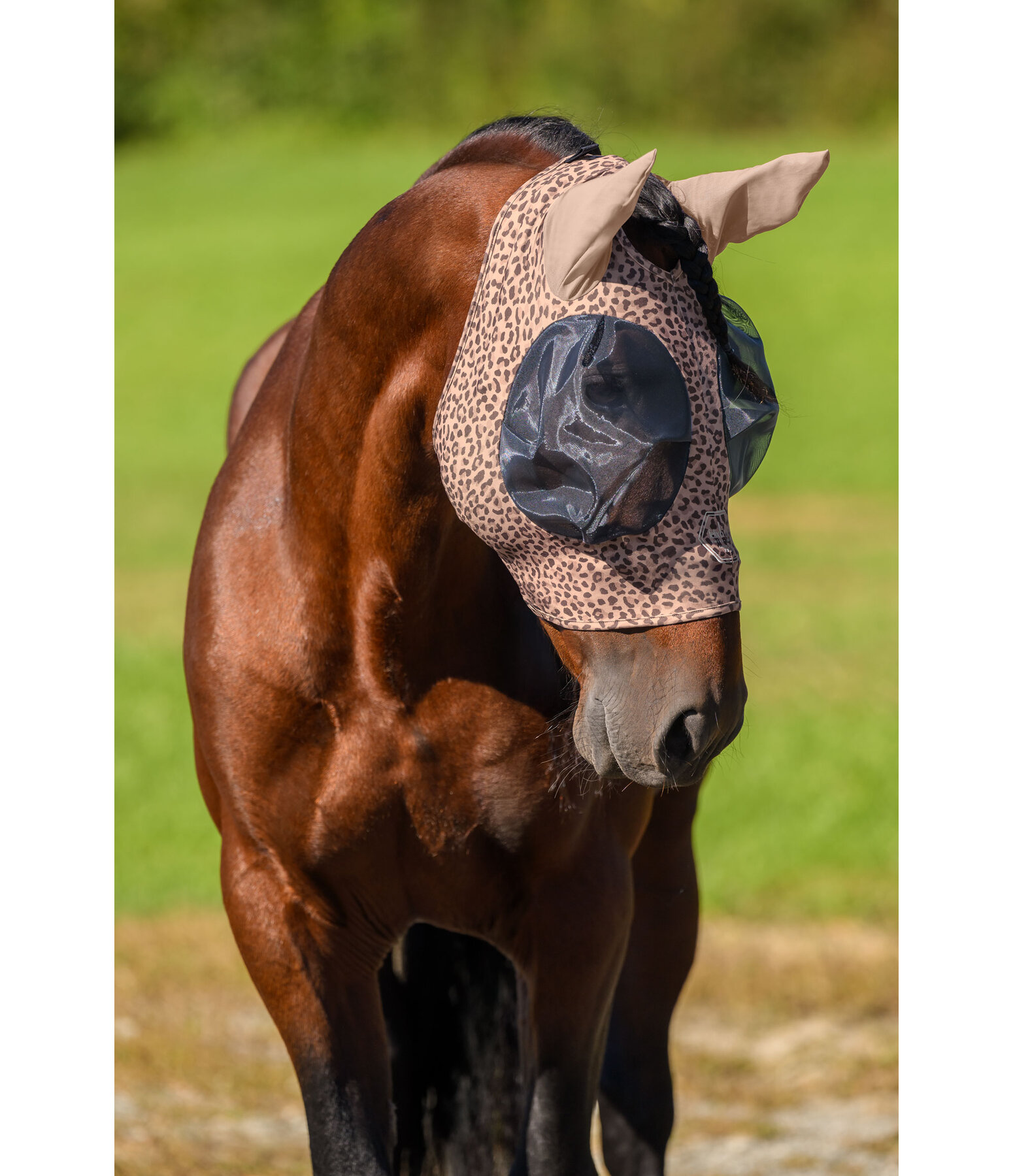 Fly Mask Stretch Comfort with Zip