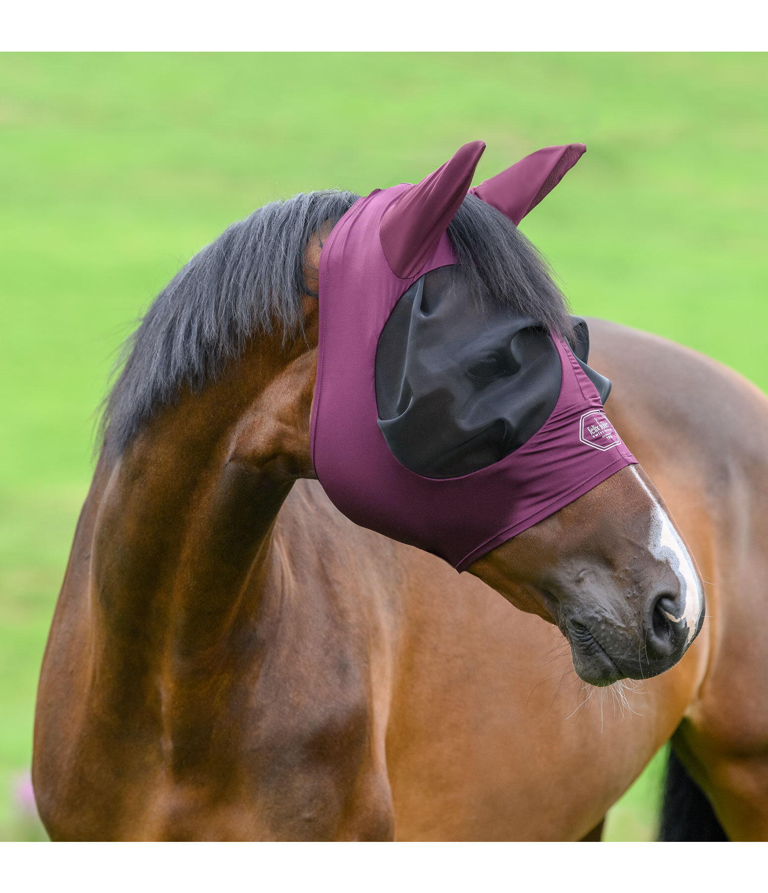 Fly Mask Stretch Comfort with Zip