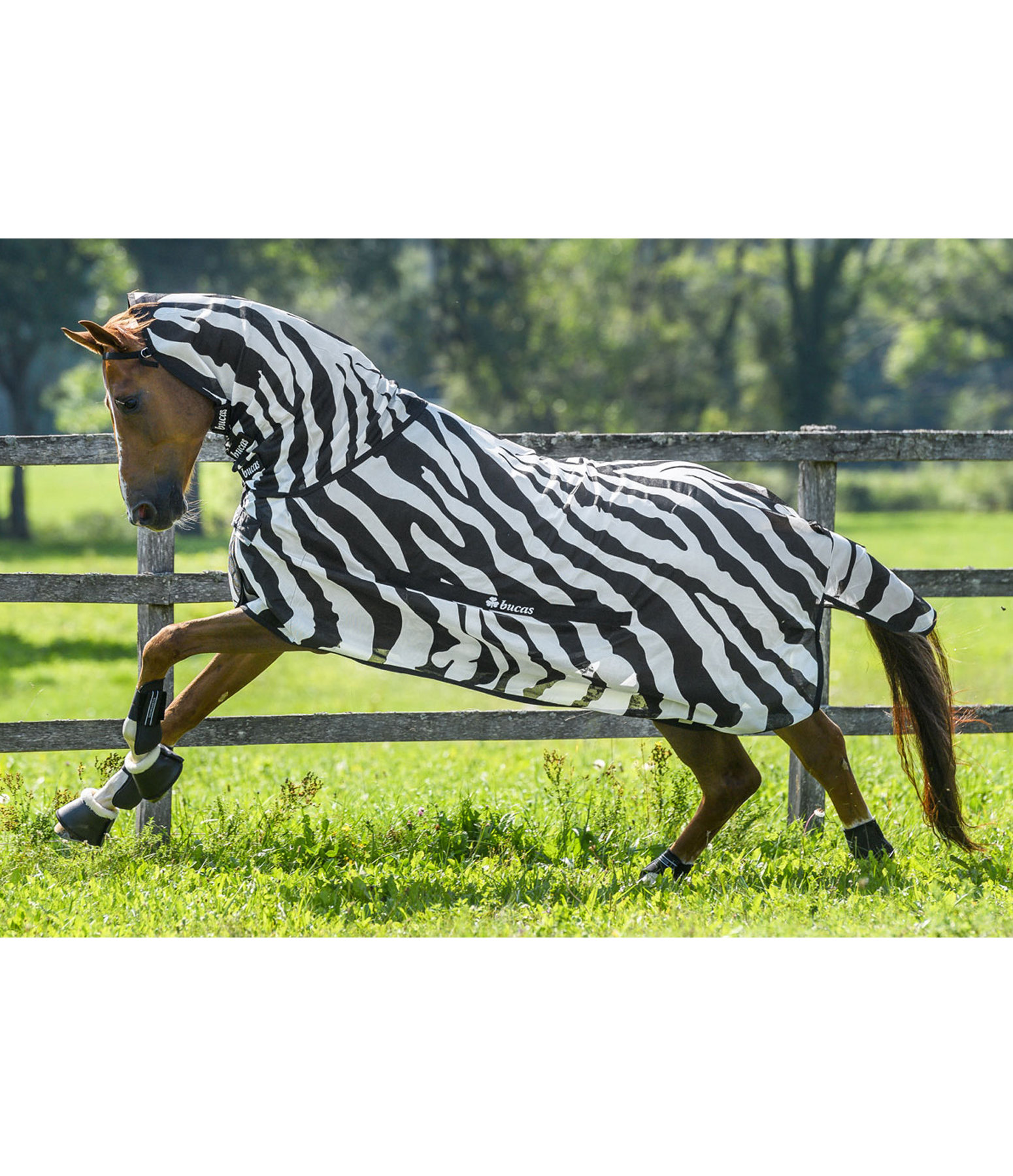 BuzzOff Full Neck Fly Rug Zebra, UV 70+ Kramer Equestrian