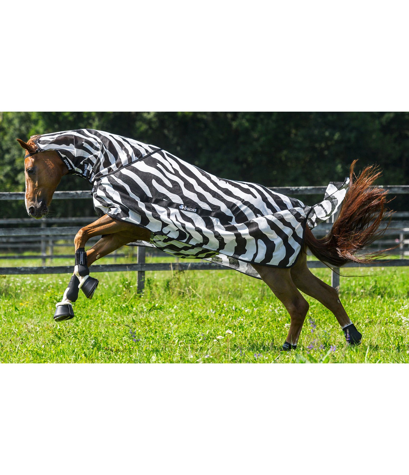 BuzzOff Full Neck Fly Rug Zebra, UV 70+ Kramer Equestrian