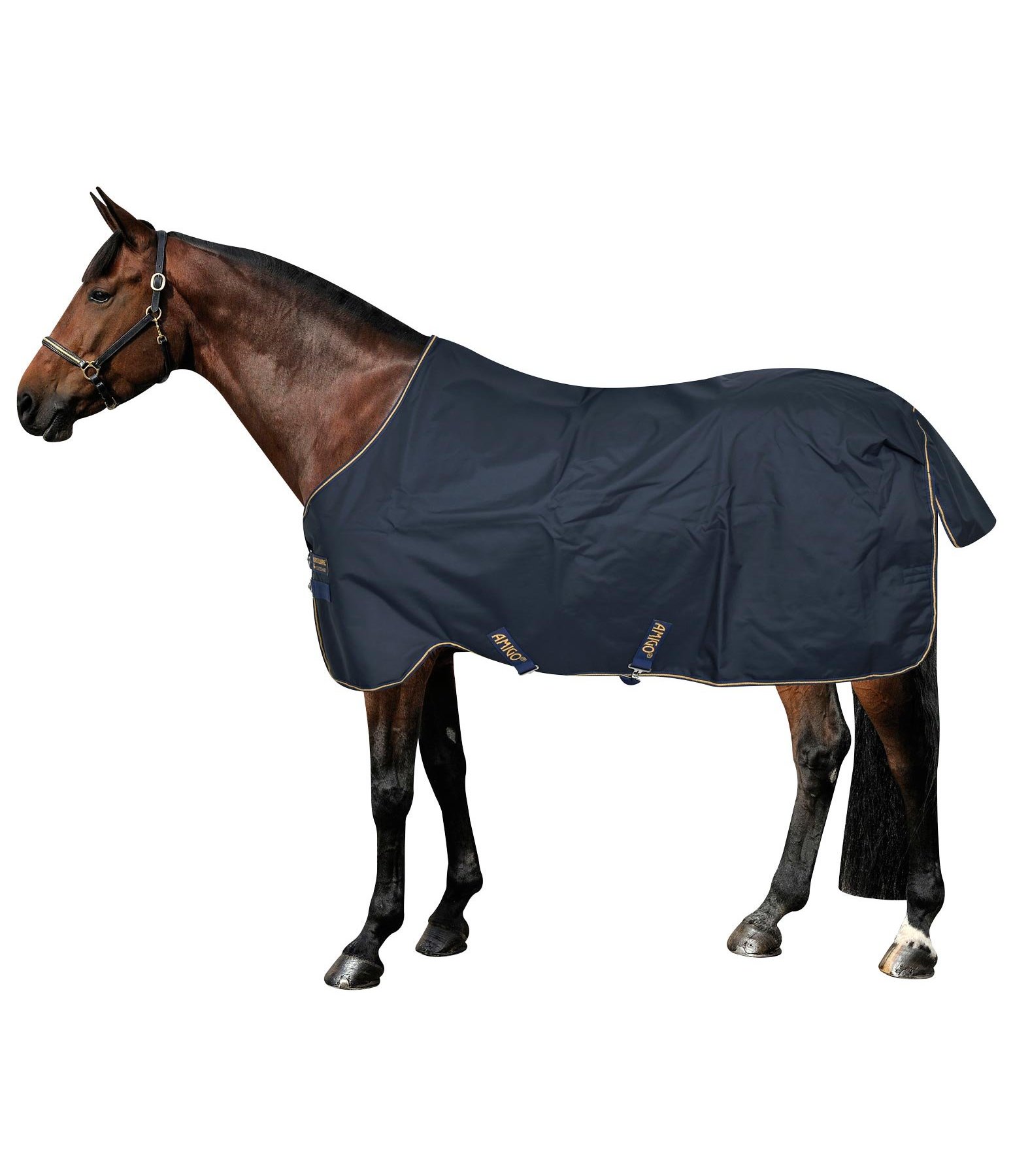 AMIGO Hero 6, 50 g Heavyweight Turnout Rugs Kramer Equestrian