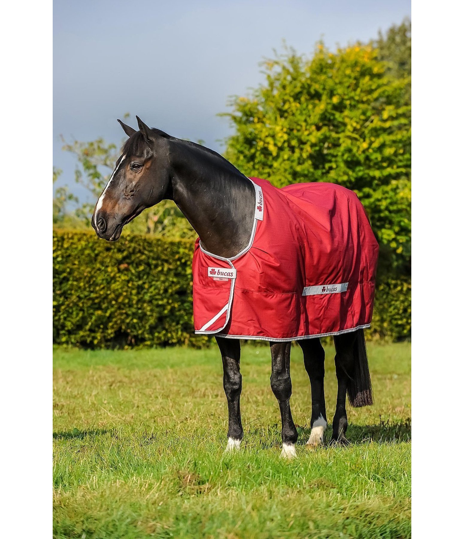 Select Turnout Rug Lightweight Turnout Rugs Kramer Equestrian