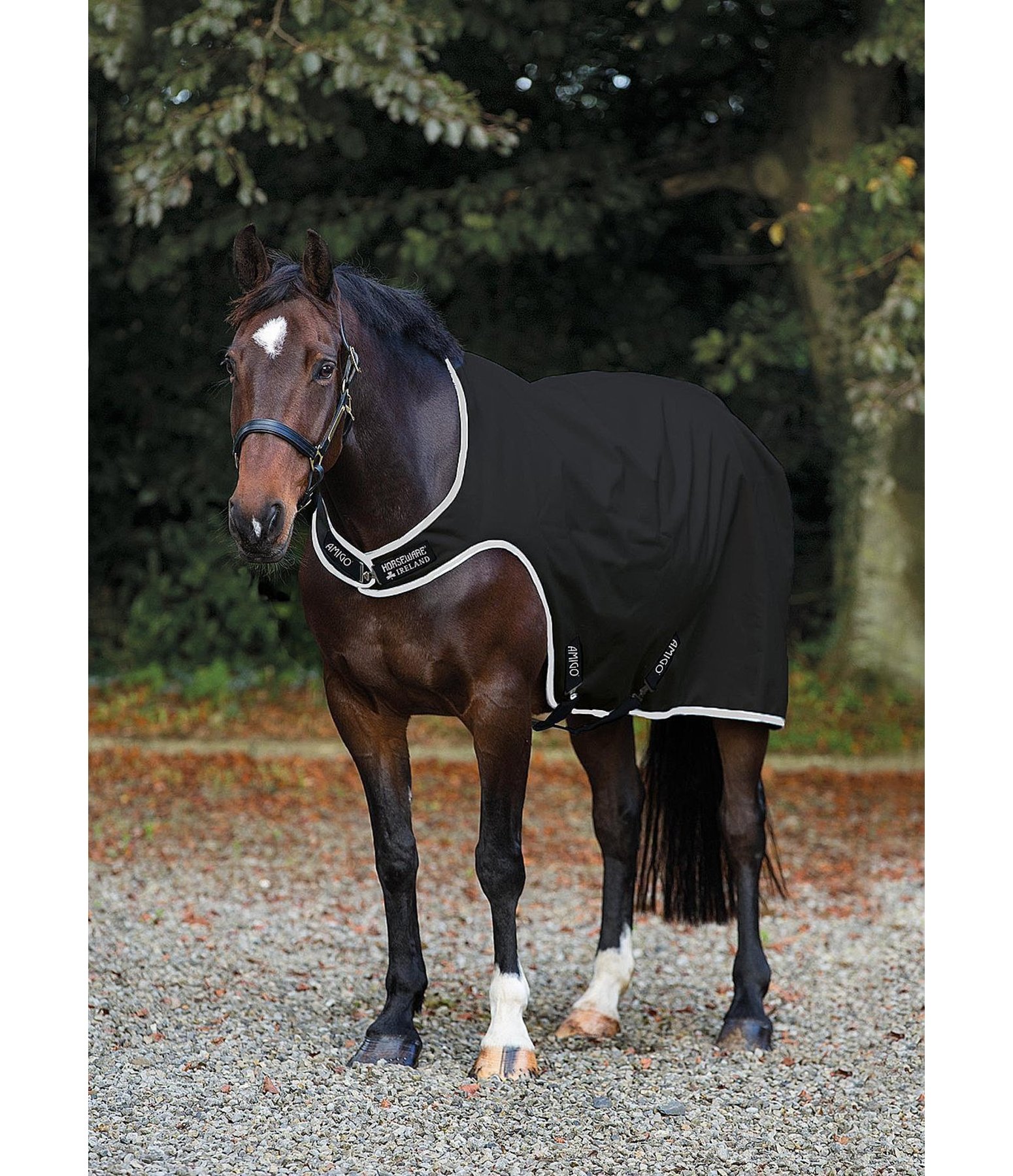 AMIGO Walker Rug 200 g Exercise Sheets & Walker Rugs Kramer Equestrian