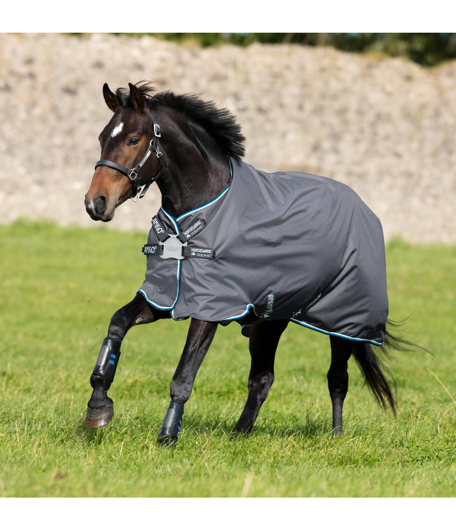 AMIGO Hero 6 Turnout Lite Lightweight Turnout Rugs Kramer Equestrian