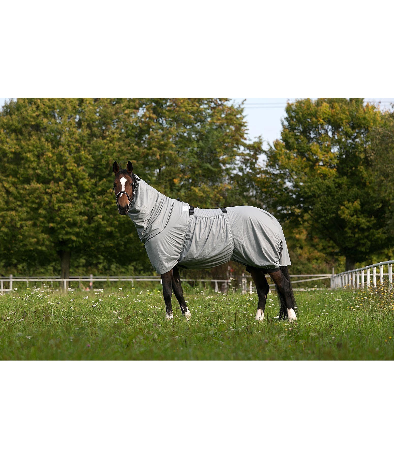 Sweet Itch Rug Fly Rugs & Accessories Kramer Equestrian
