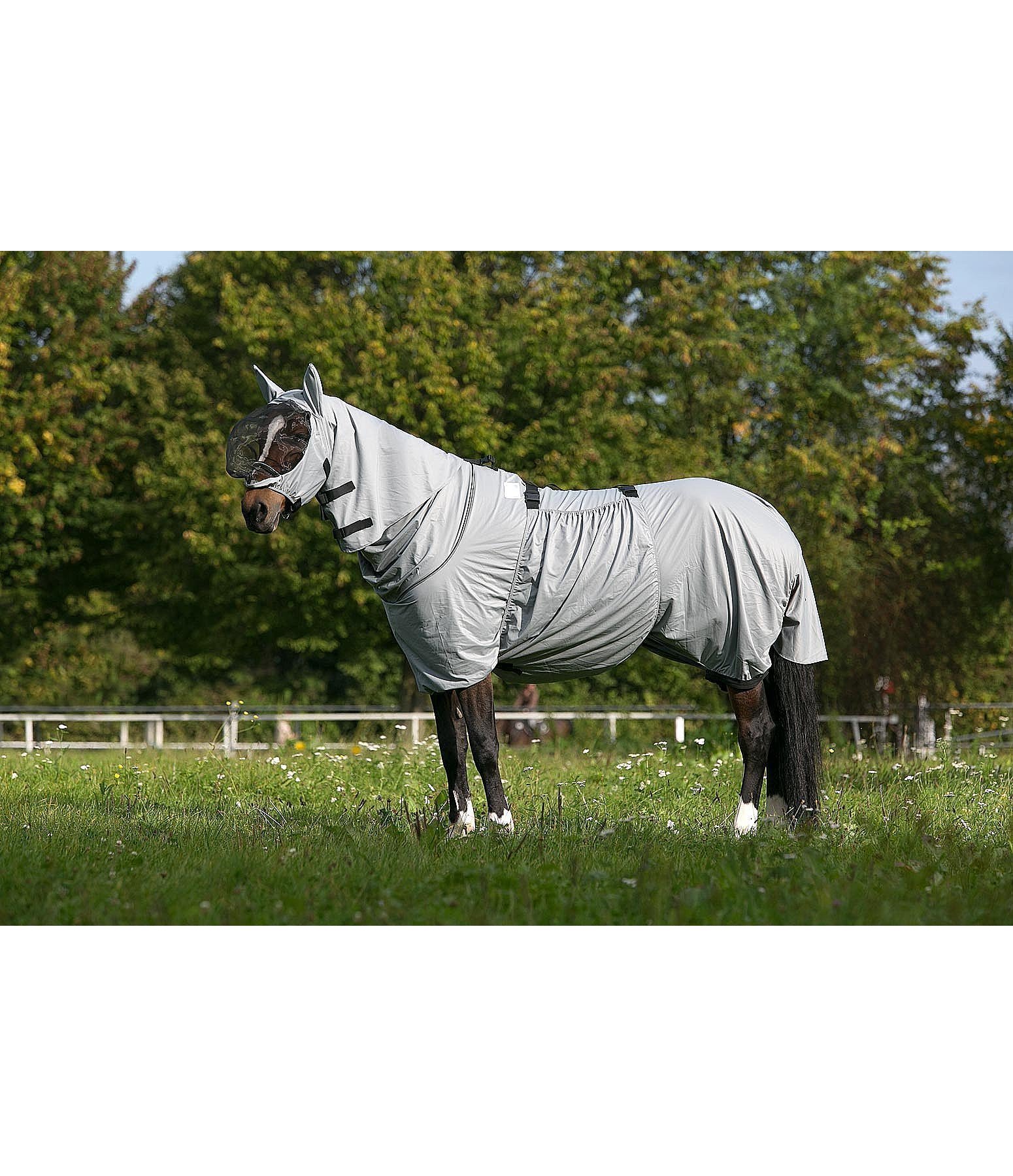 Sweet Itch Rug Fly Rugs & Accessories Kramer Equestrian