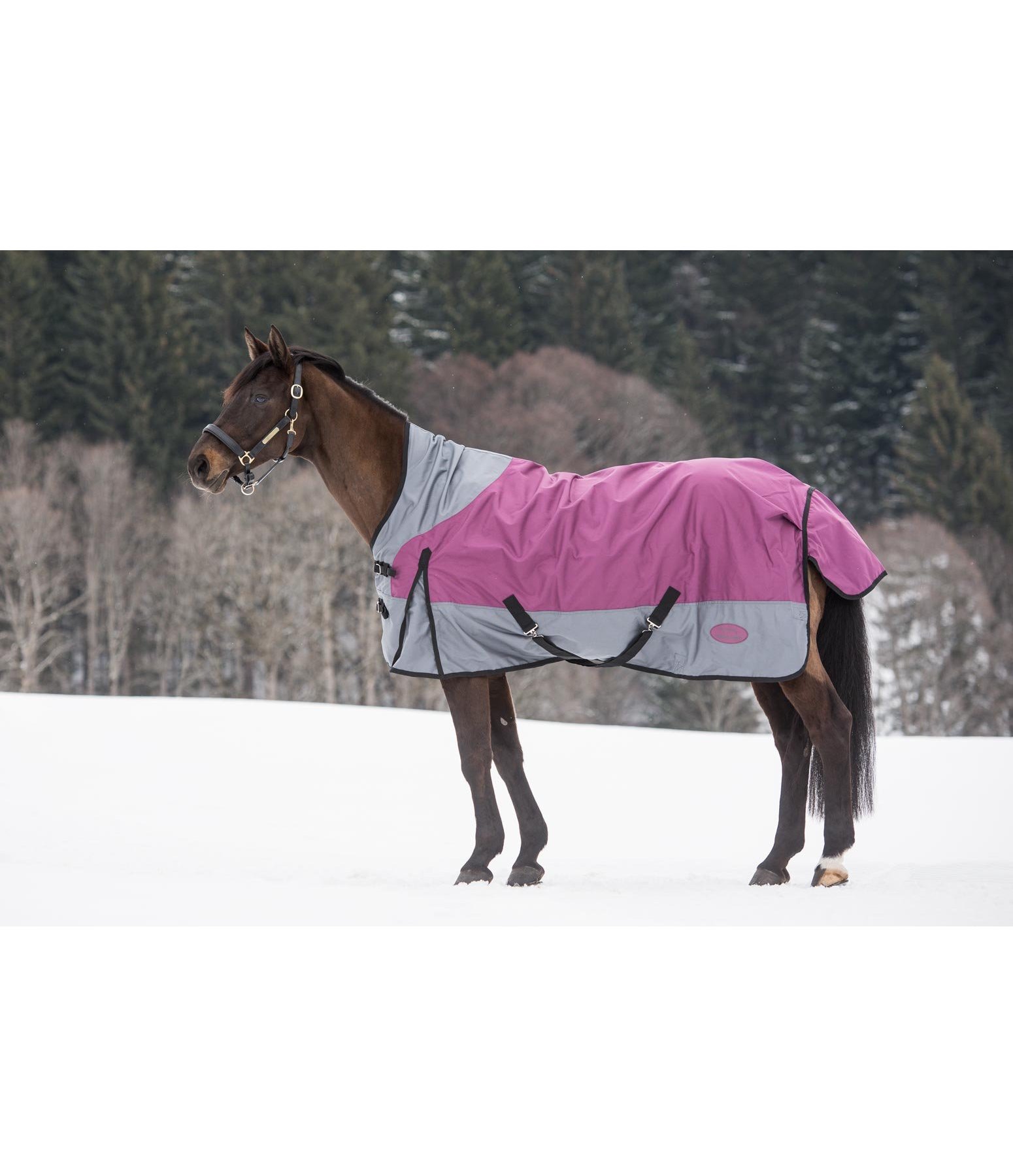 High Neck Turnout Rug 1680 Lightweight Turnout Rugs Kramer Equestrian