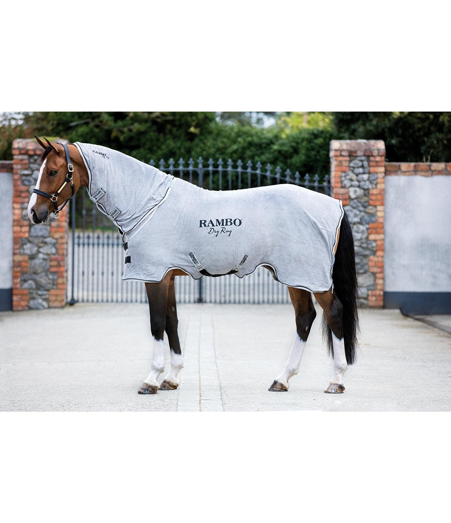 RAMBO Dry Rug Coolers Kramer Equestrian