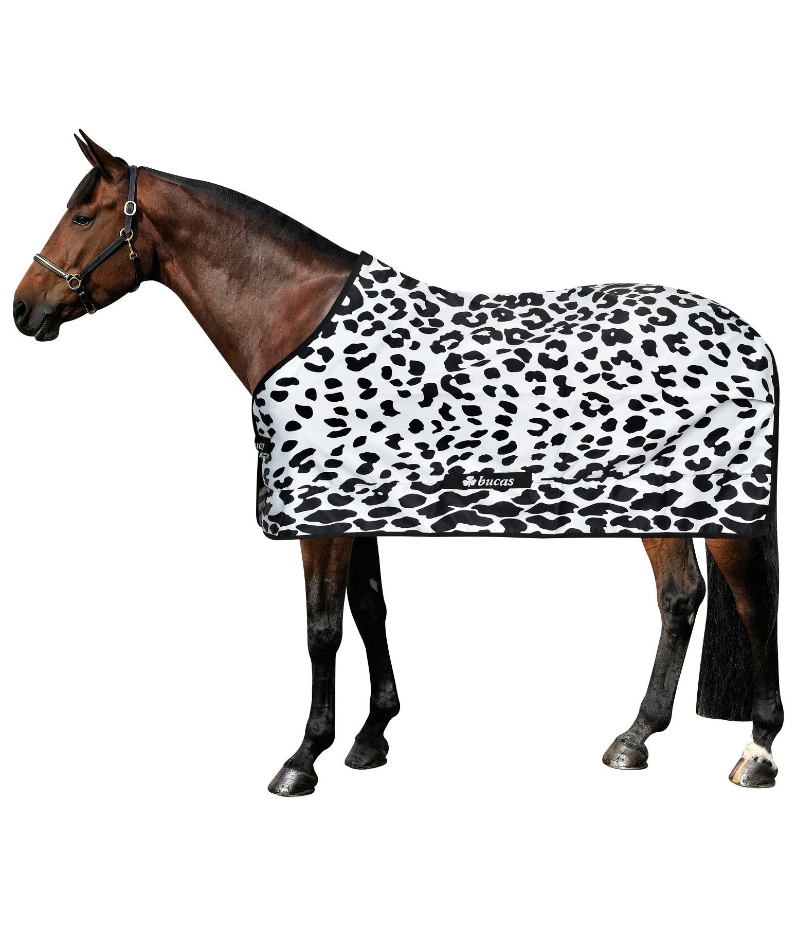 summer sheet snow leopard travel rugs between seasons rugs summer sheet