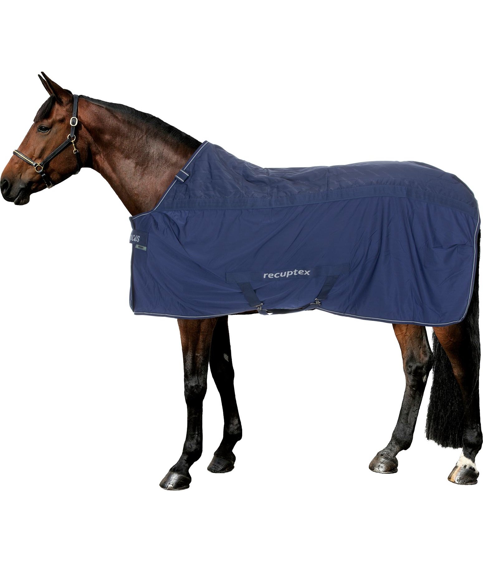 Stable Rug Recuptex Stable Rugs Kramer Equestrian