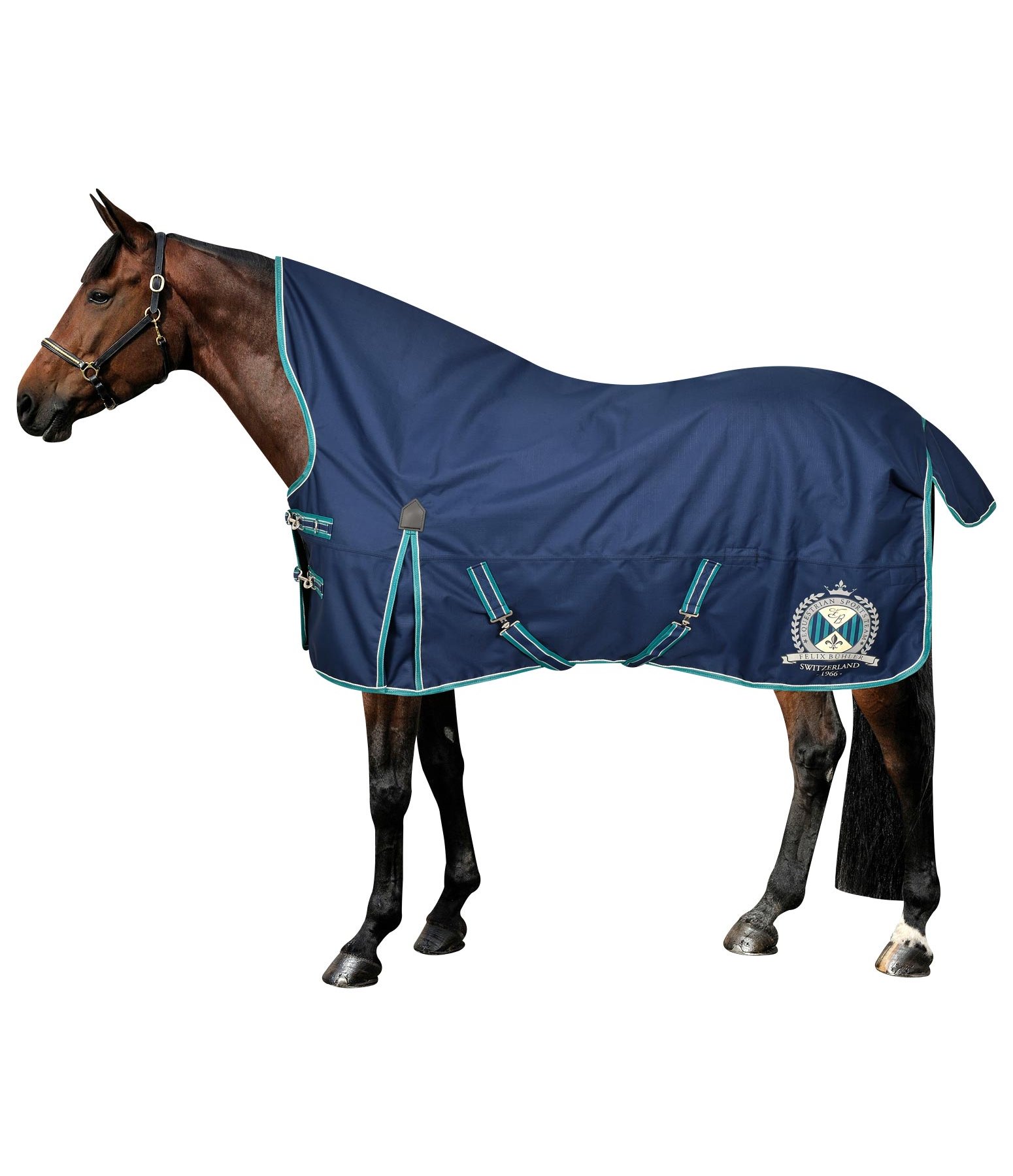 High Neck Turnout Rug Aliki 100 g Heavyweight Turnout Rugs Kramer