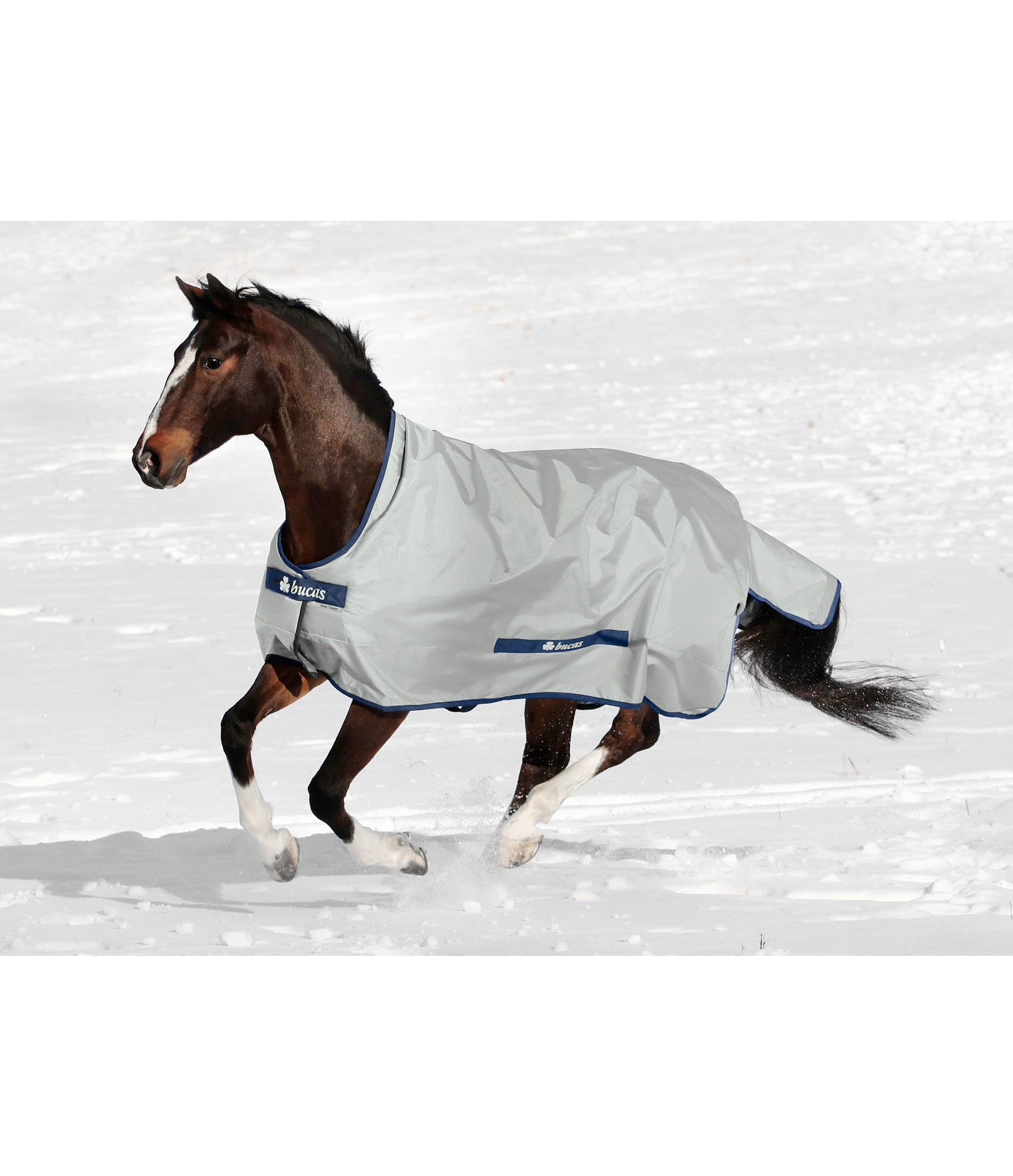 High Neck Power Turnout Rug