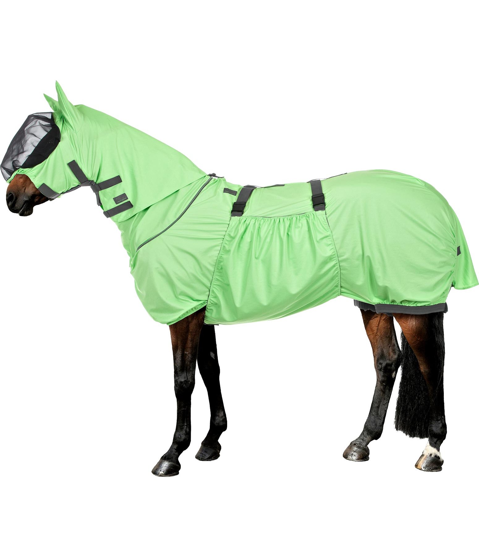 Sweet Itch Rug Fly Rugs & Accessories Kramer Equestrian