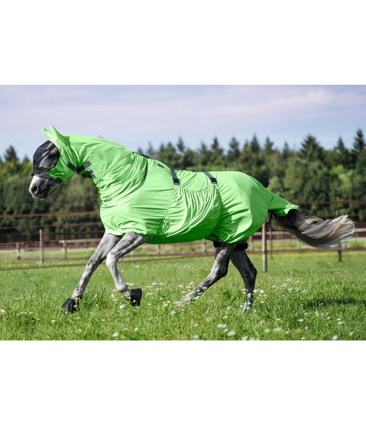 Sweet Itch Rug Dahna Fly Rugs Kramer Equestrian
