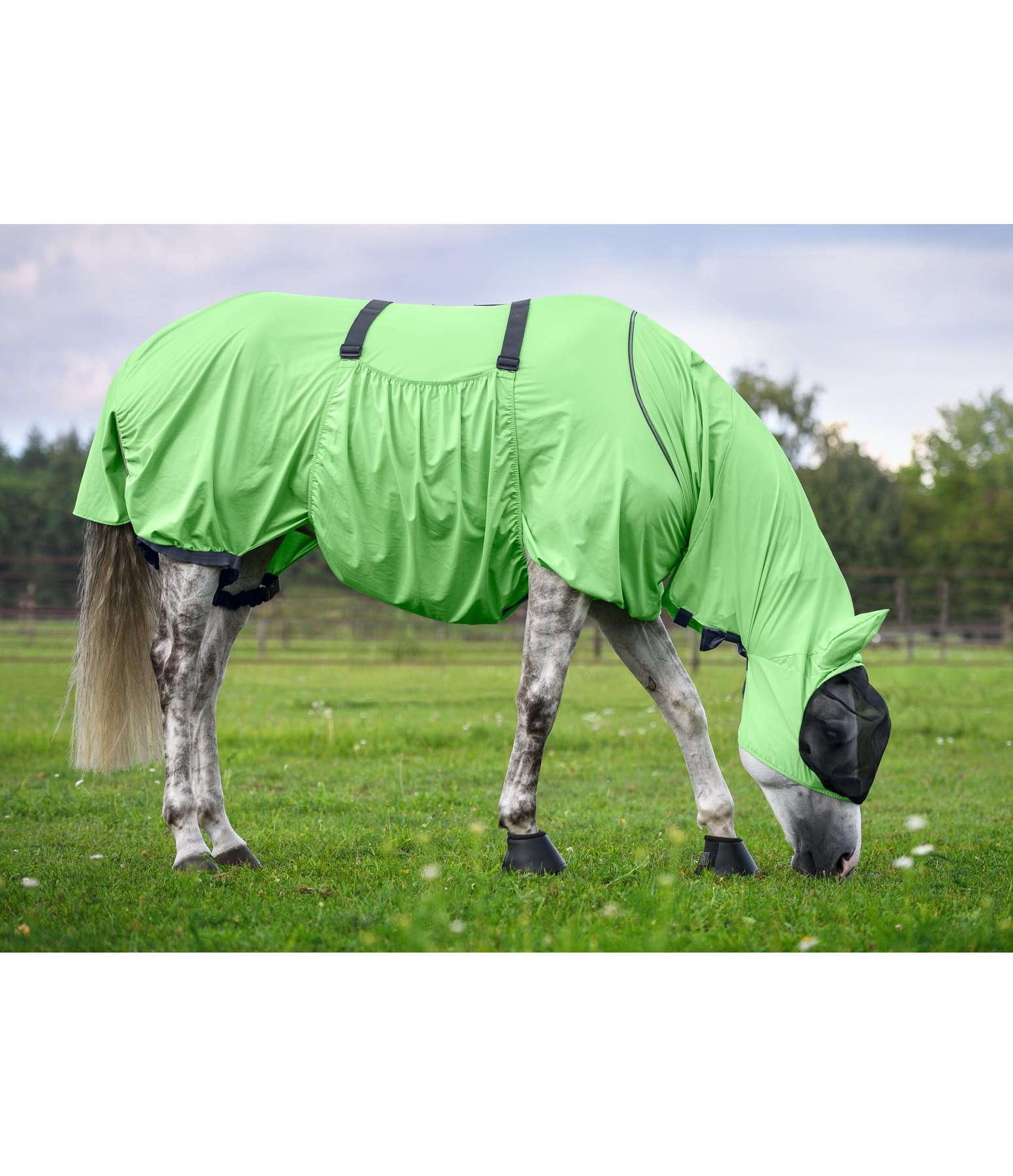 Sweet Itch Rug Dahna Fly Rugs Kramer Equestrian