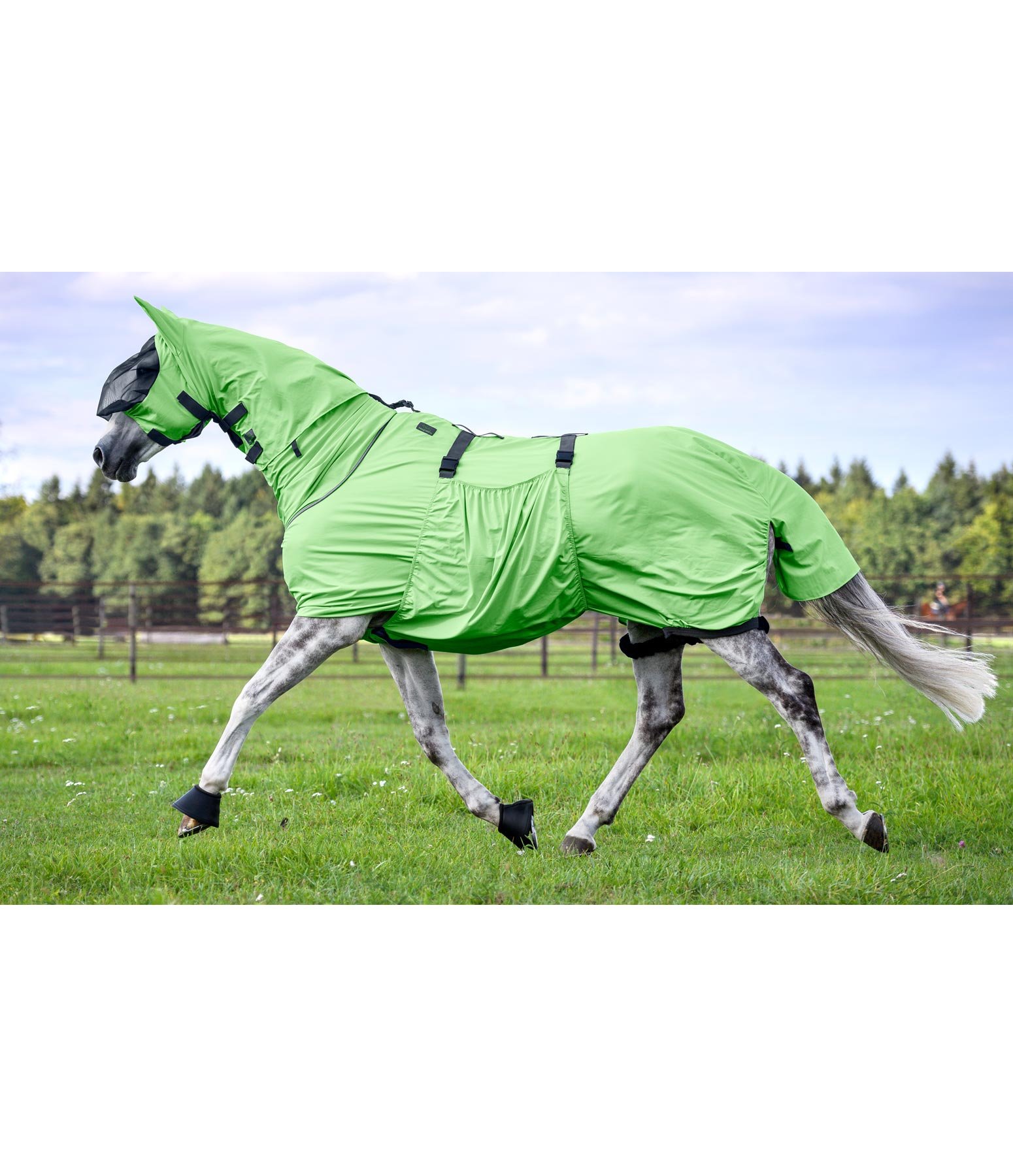 Sweet Itch Rug Dahna Fly Rugs Kramer Equestrian