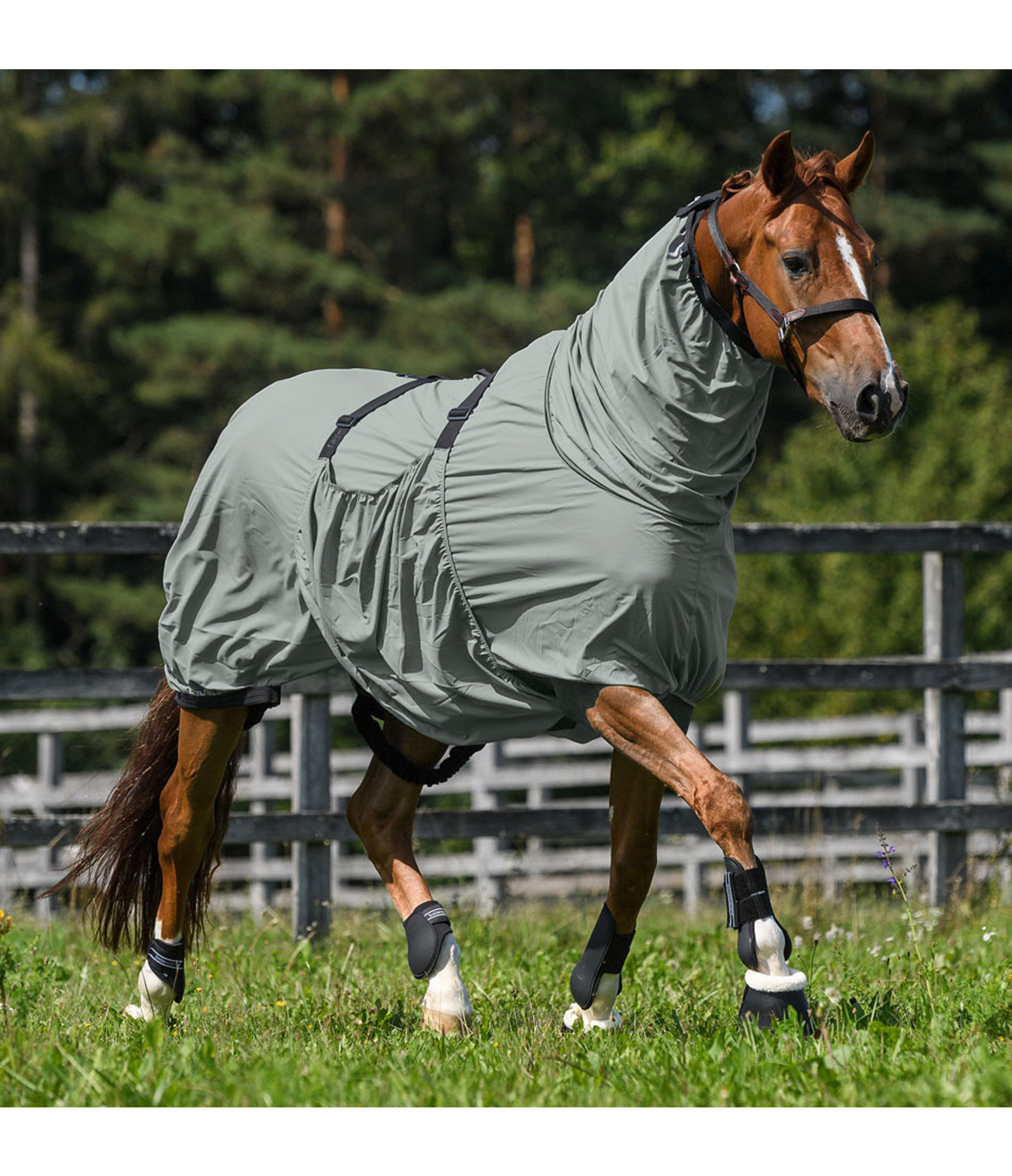 Sweet discount itch rug