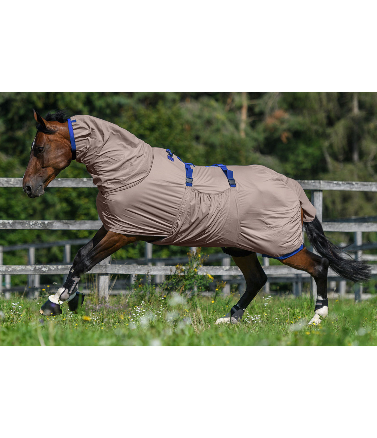 Sweet Itch Rug Fly Rugs & Accessories Kramer Equestrian
