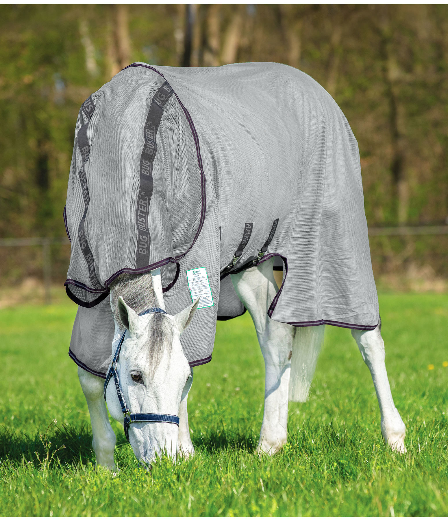Bug Md Vamoose Reviews - cs65uez