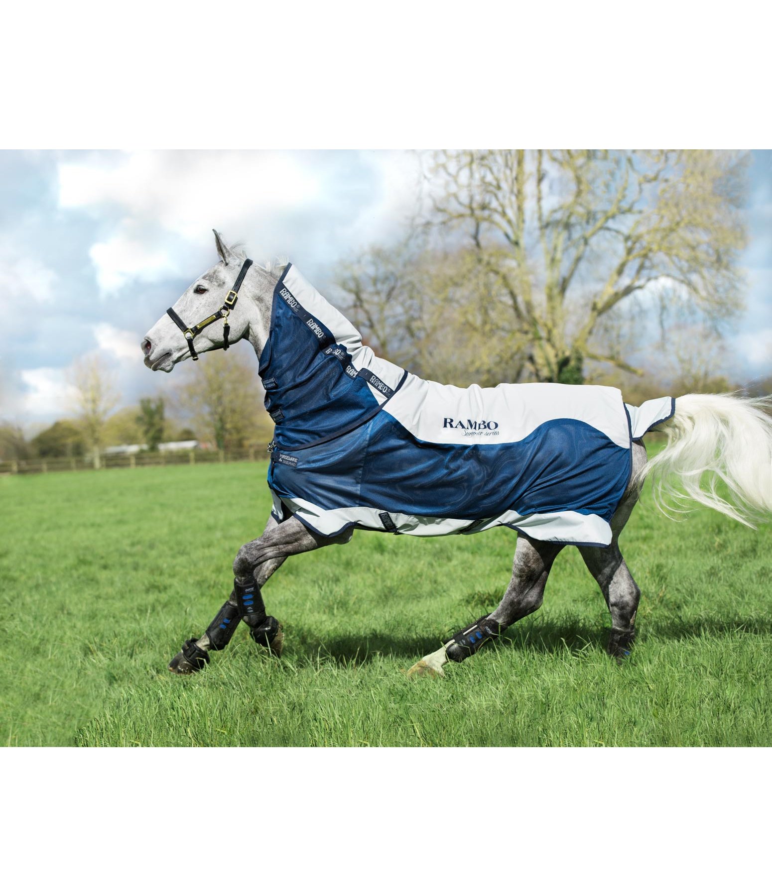RAMBO Summer Series Turnout Lightweight Turnout Rugs Kramer Equestrian