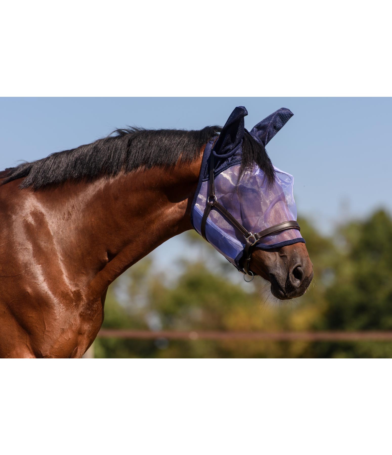Fly Mask Eco with Forelock CutOut Fly Masks & Fringes Kramer