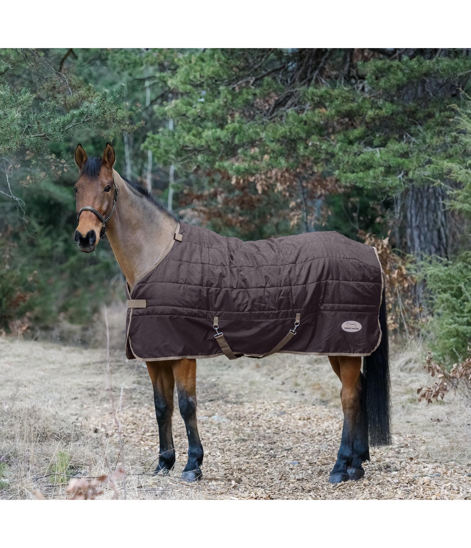 Combination Stable Rug Annecy 150 g Kramer Equestrian