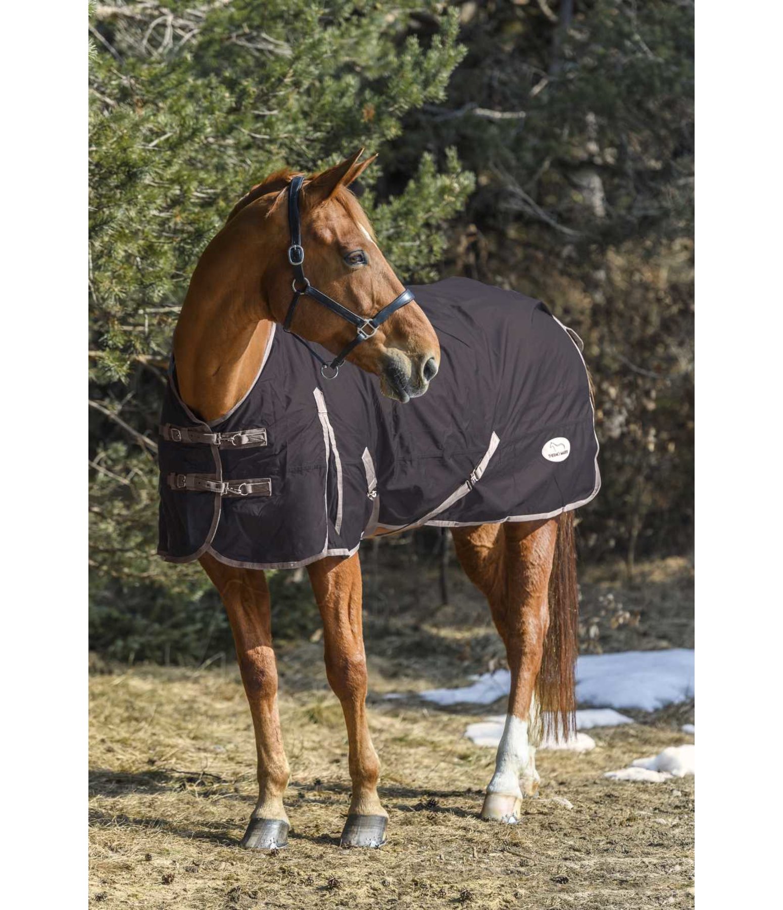Combination Turnout Rug Amsterdam Kramer Equestrian