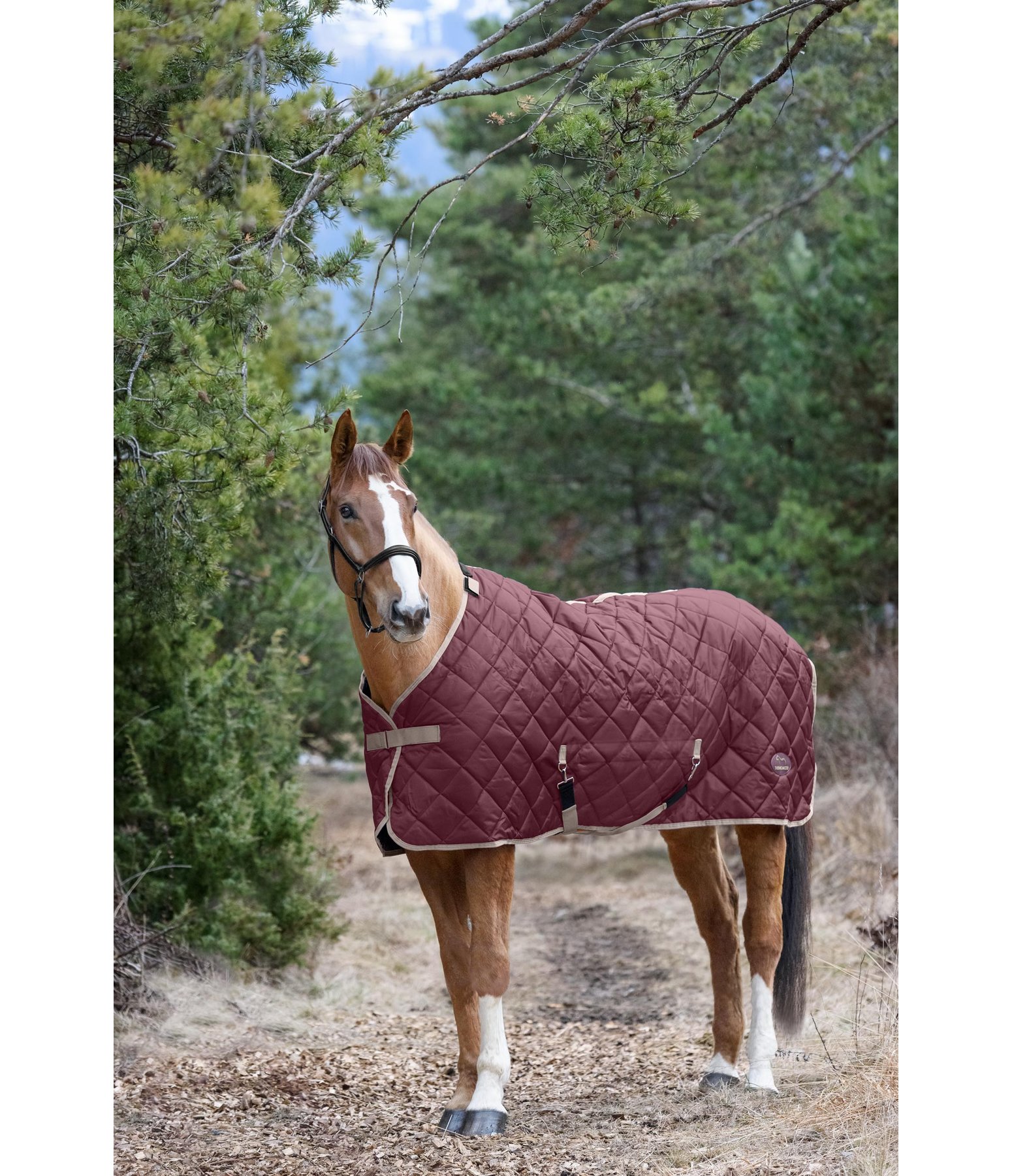 Stable Rug Aki 200 g Stable Rugs Kramer Equestrian