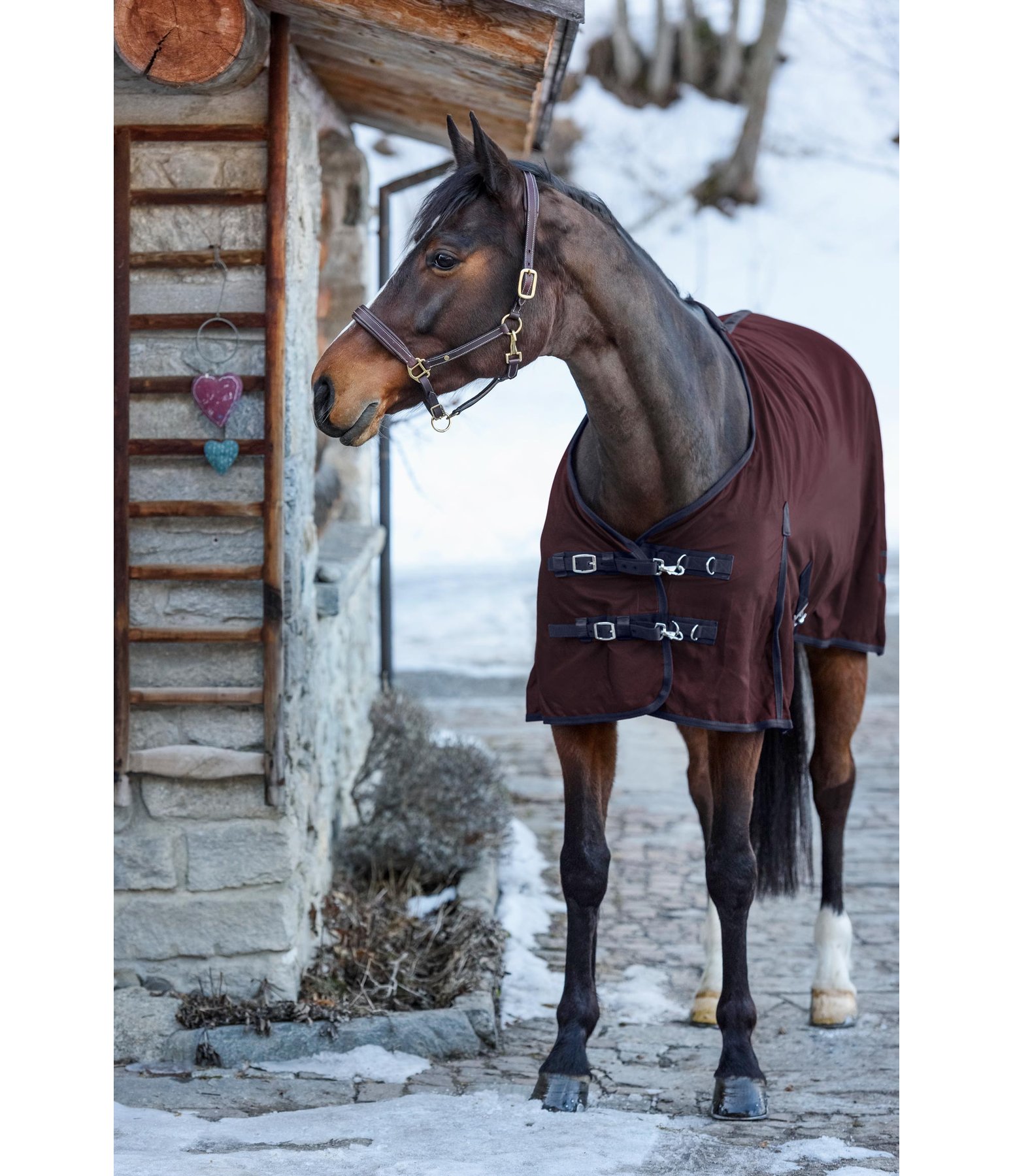 Transitional Stable Rug with Fleece Lining Stable Rugs Kramer