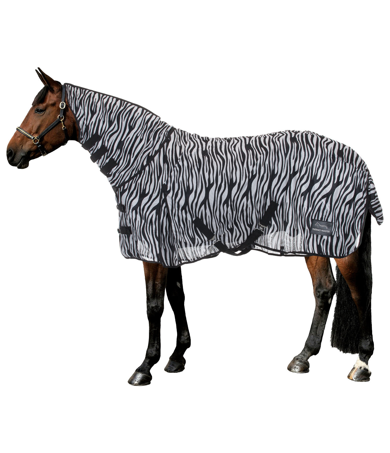 Zebra Fly Rug Combo