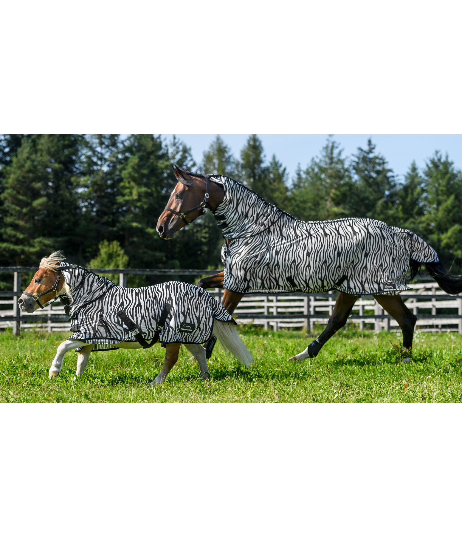 Zebra Fly Rug Combo