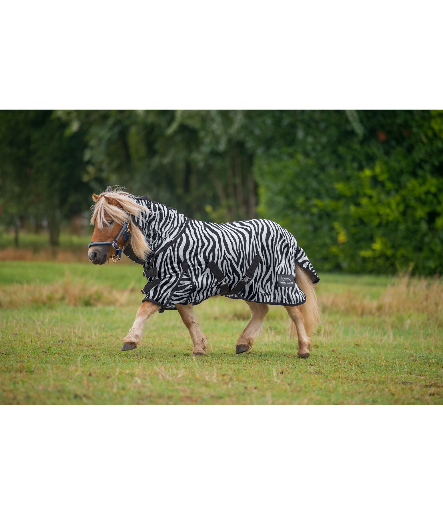 Zebra Fly Rug Combo